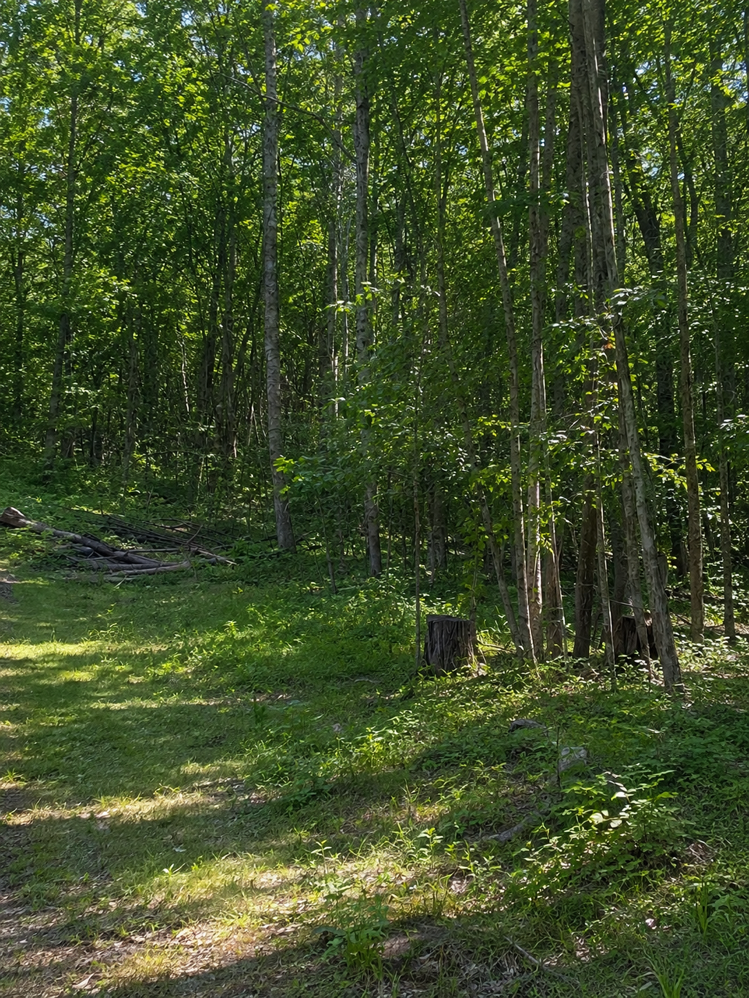 Tbd Birchcurve Road Property Photo 1