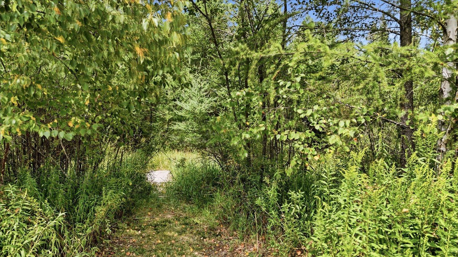 61633 Norway Spruce Road Property Photo 36