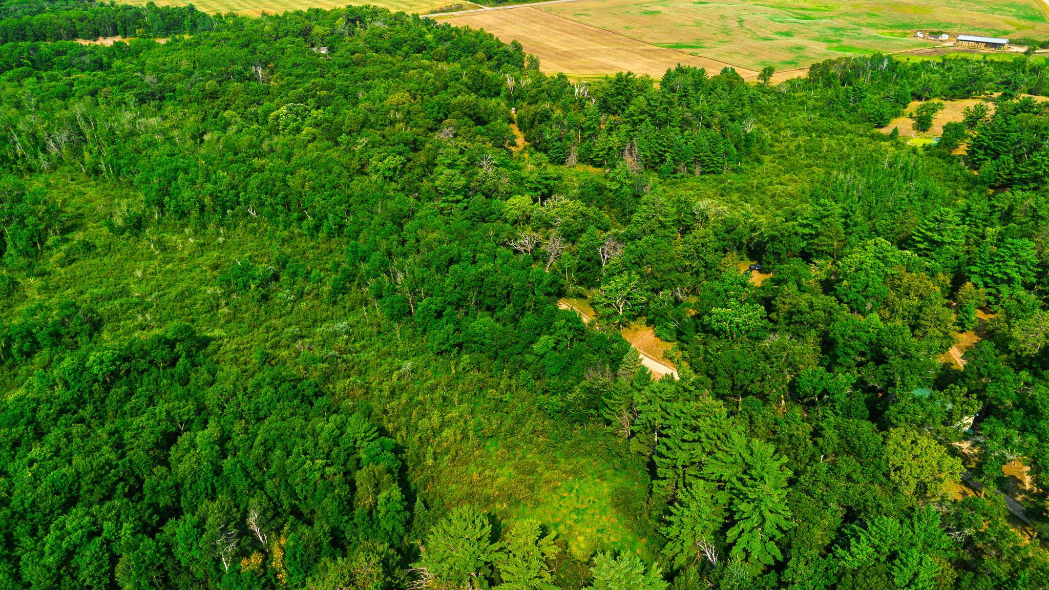 Tbd County Road 23 Property Photo 9