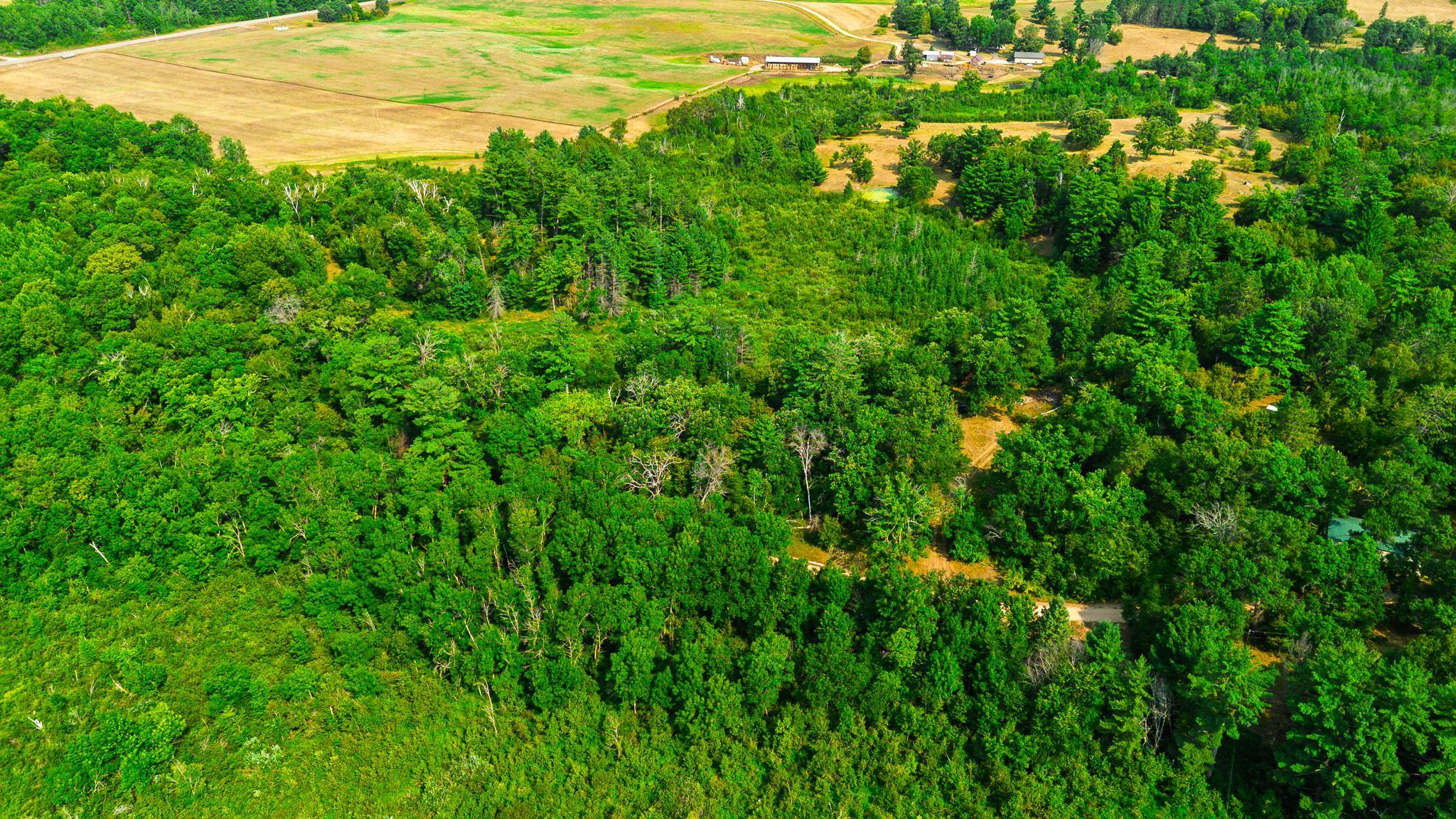 Tbd County Road 23 Property Photo 10