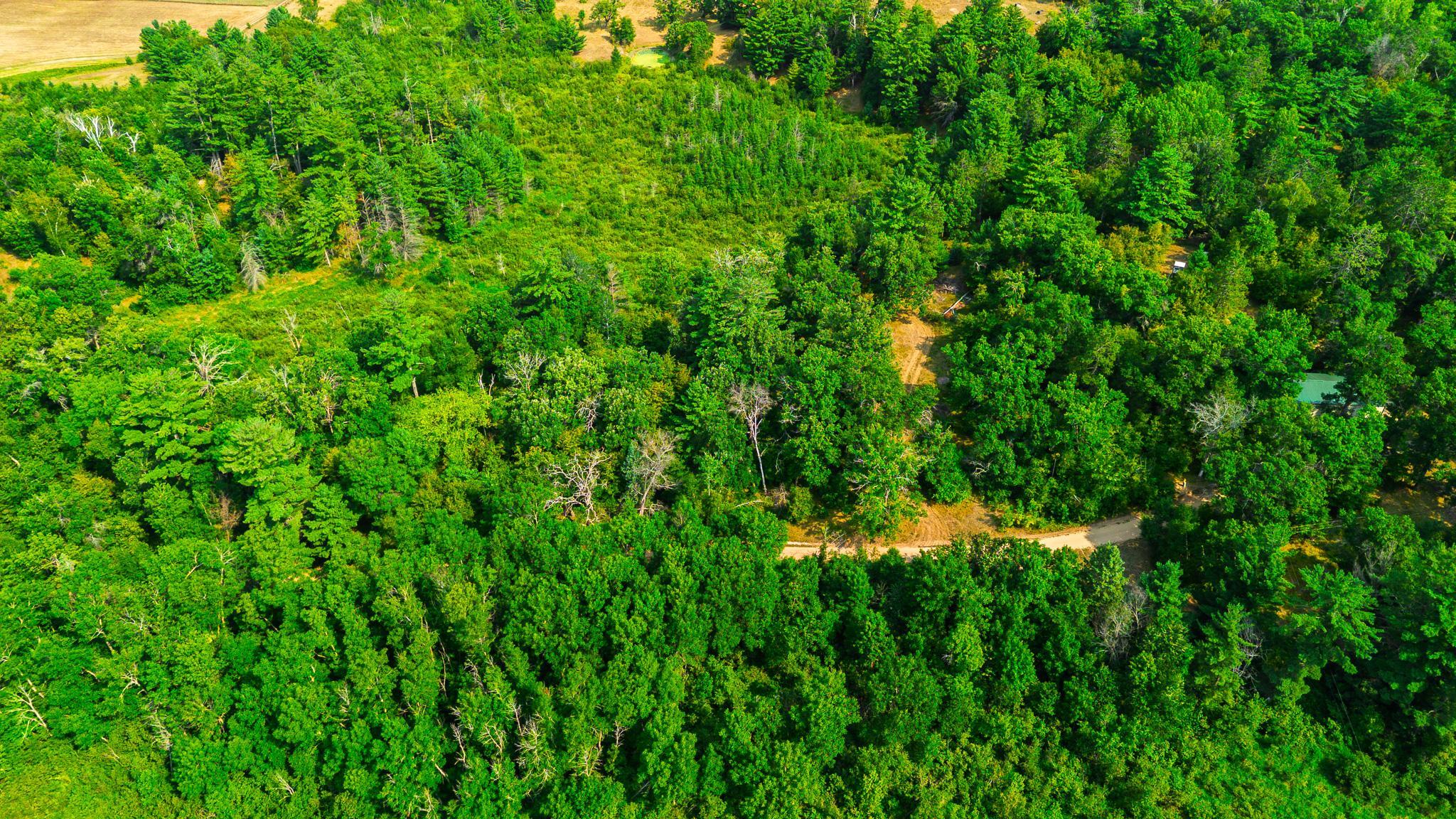 Tbd County Road 23 Property Photo 11