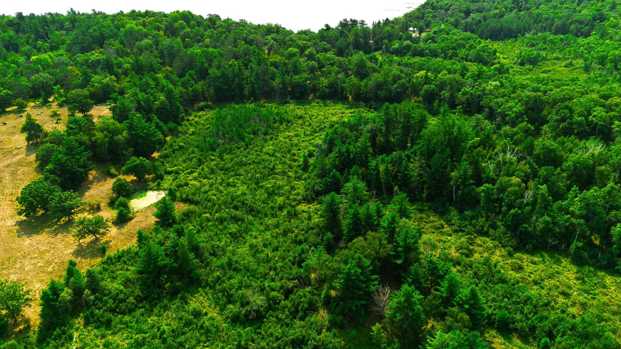 Tbd County Road 23 Property Photo 17
