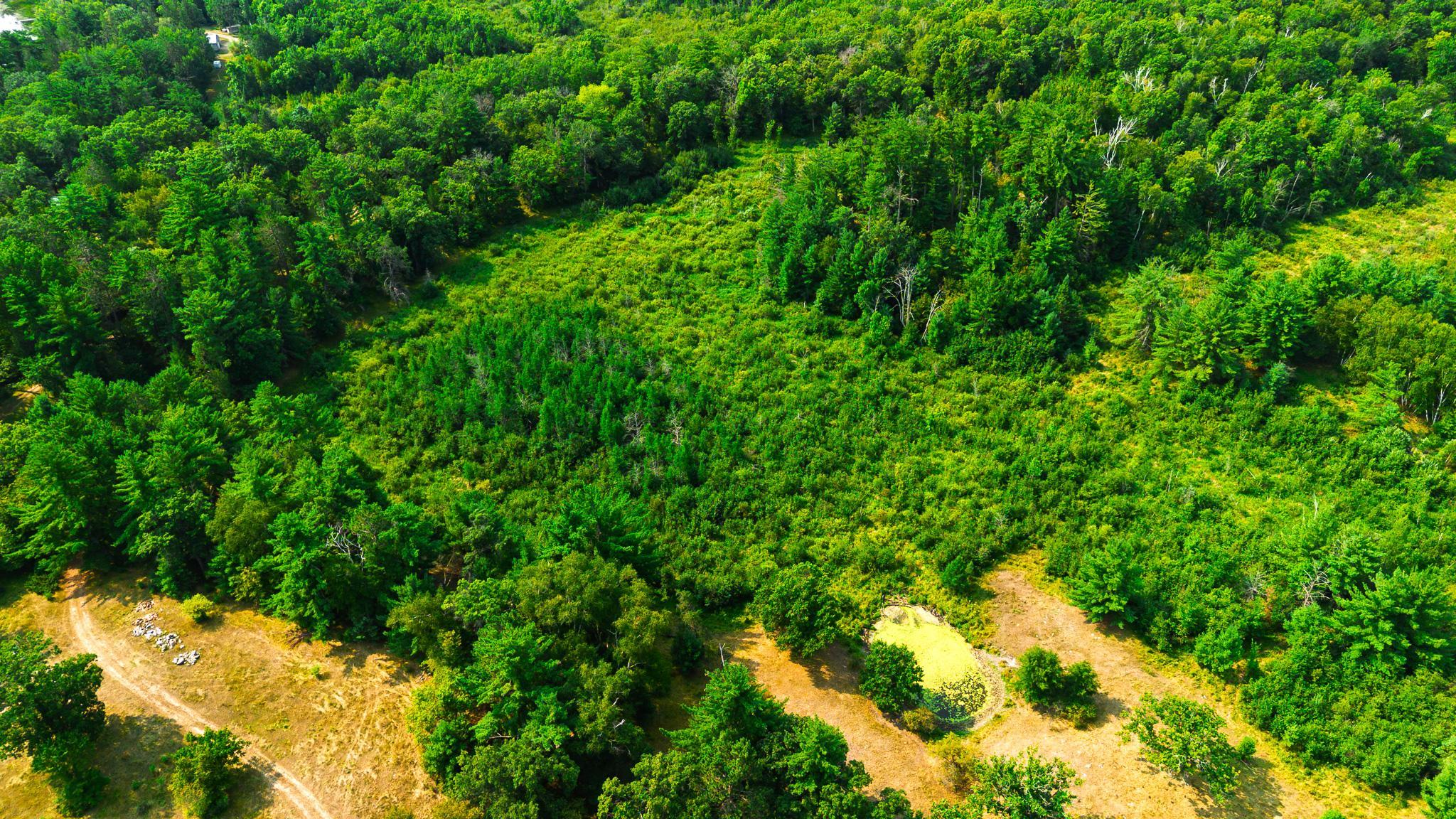 Tbd County Road 23 Property Photo 18
