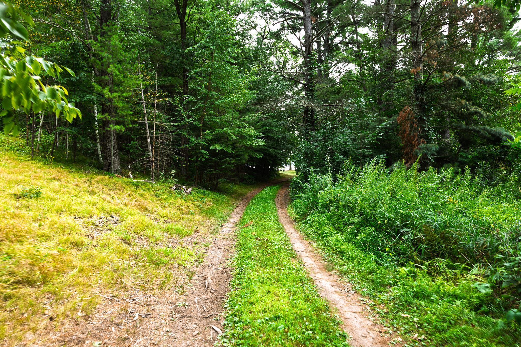 Tbd County Road 23 Property Photo 25