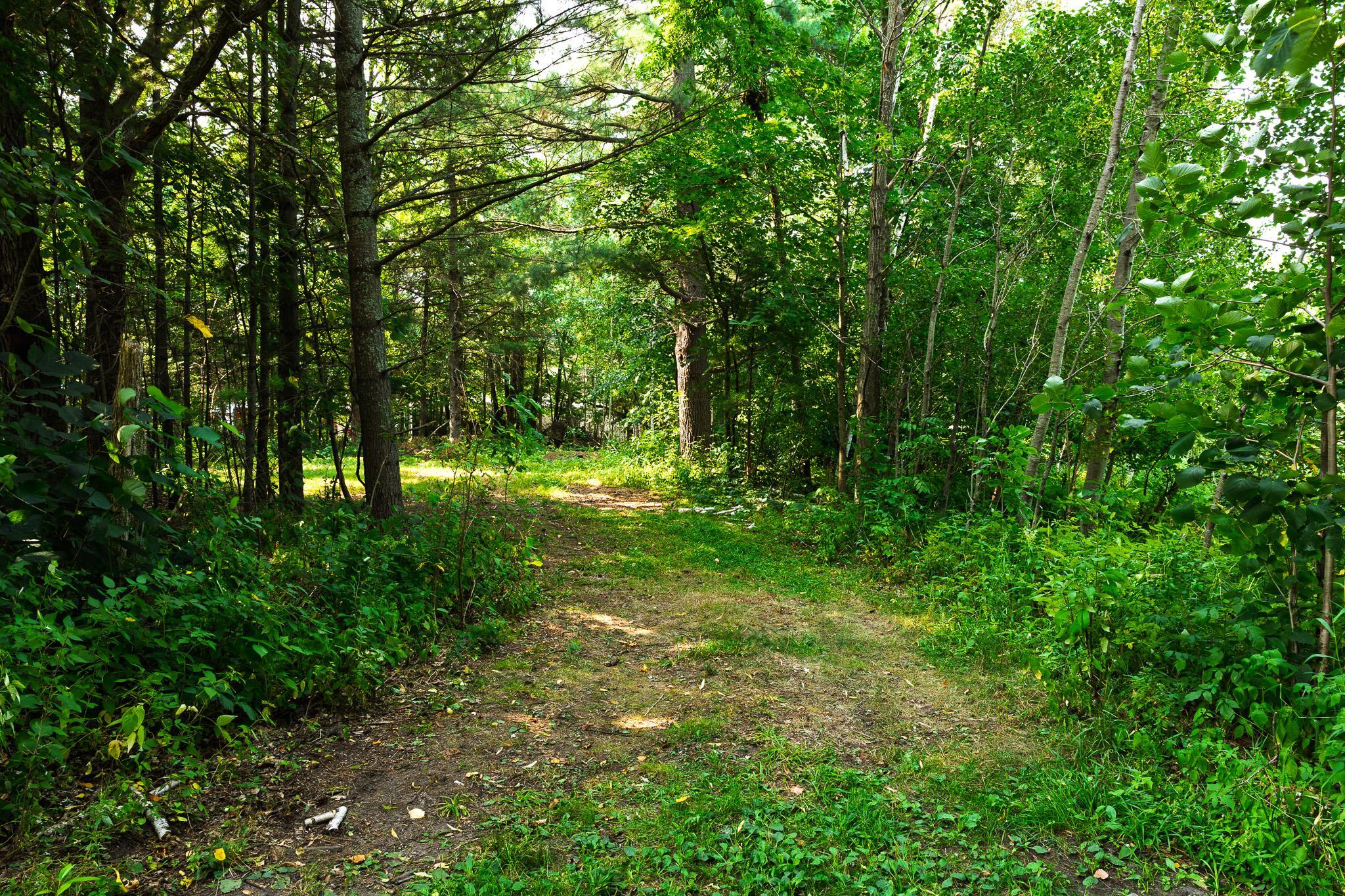 Tbd County Road 23 Property Photo 36