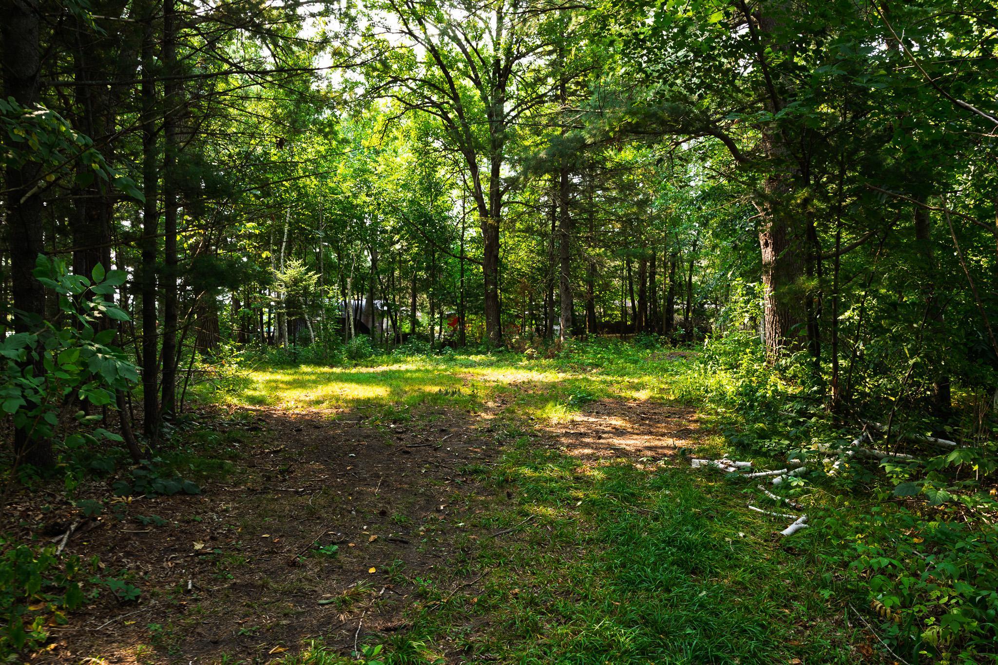 Tbd County Road 23 Property Photo 37