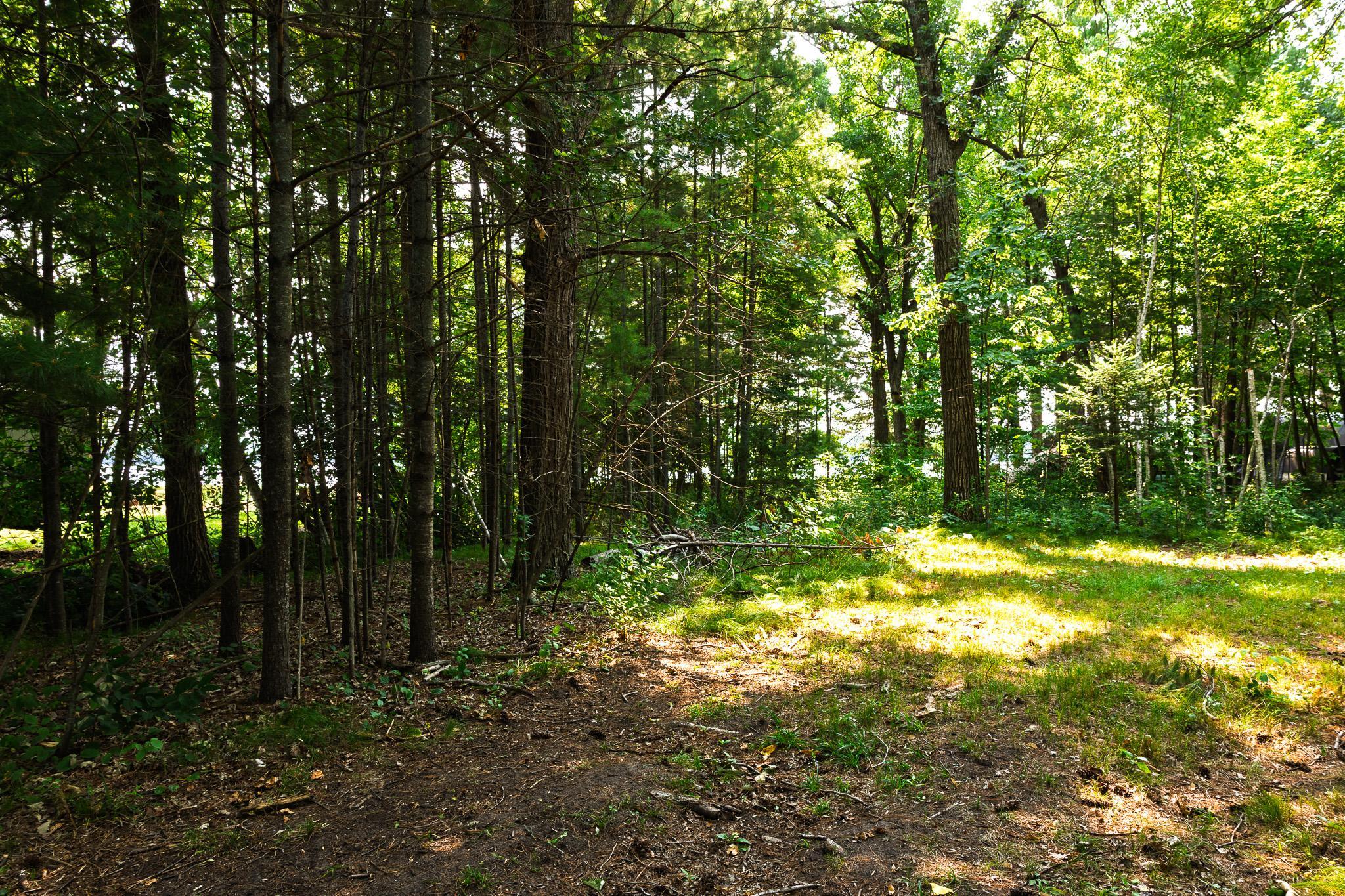Tbd County Road 23 Property Photo 38