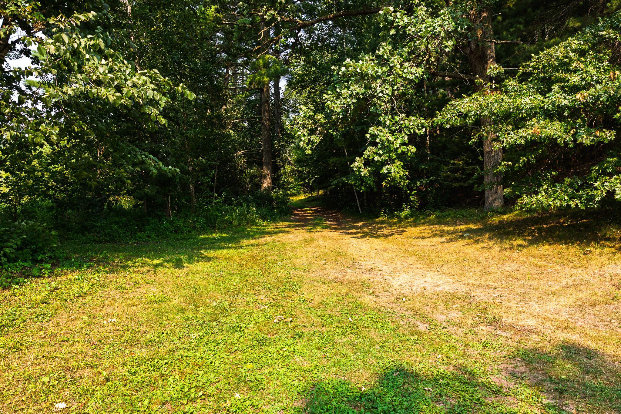 Tbd County Road 23 Property Photo 39