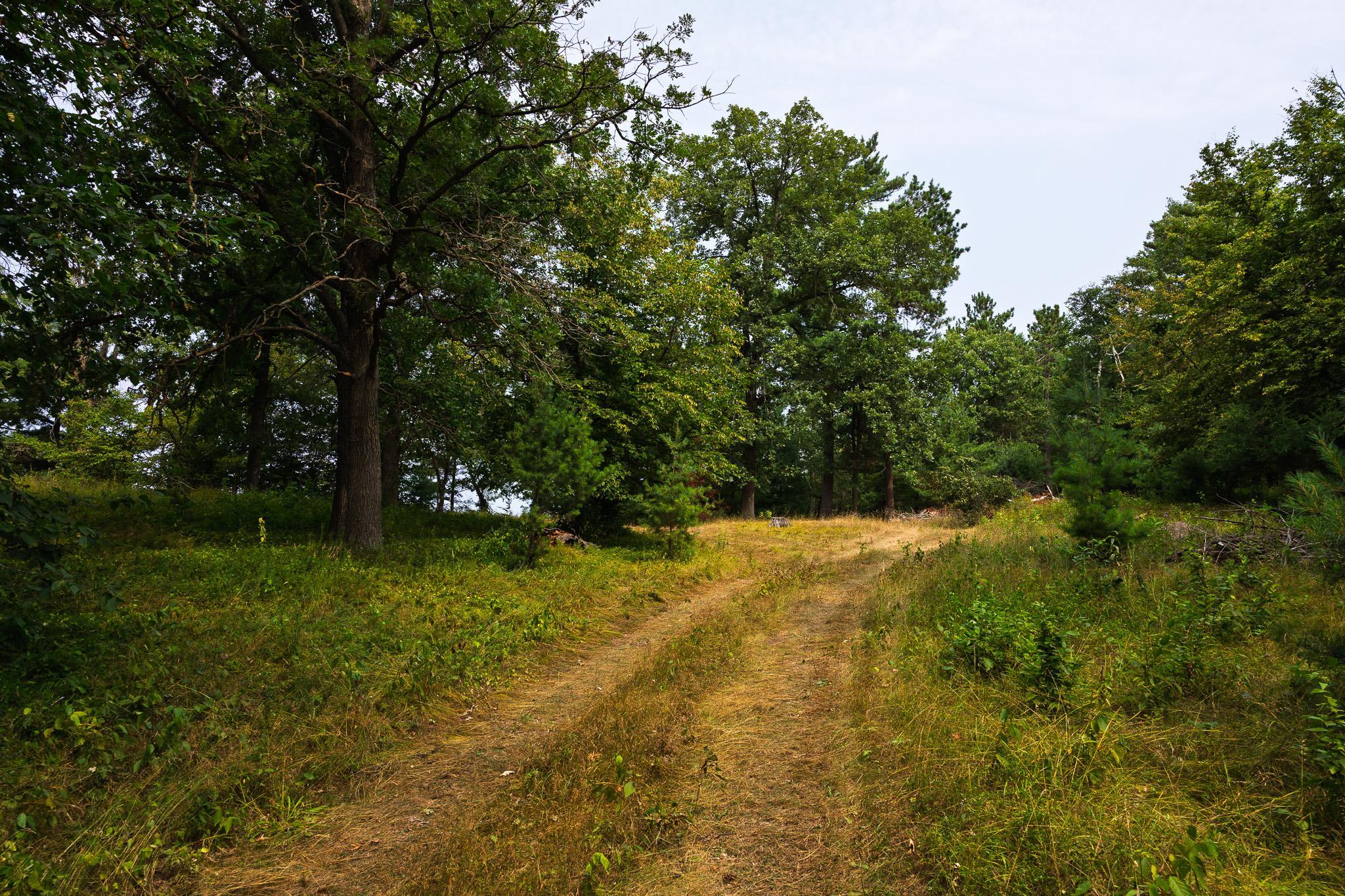 Tbd County Road 23 Property Photo 43