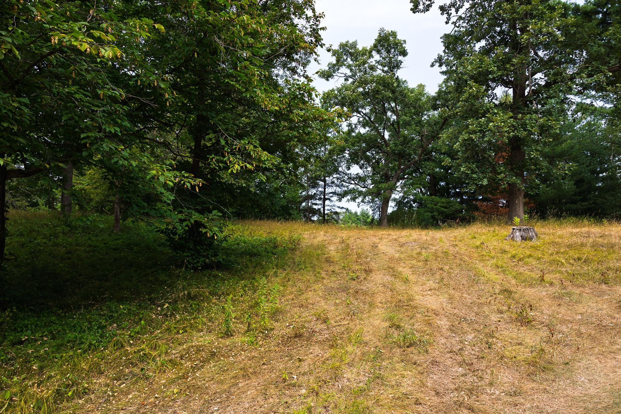 Tbd County Road 23 Property Photo 45