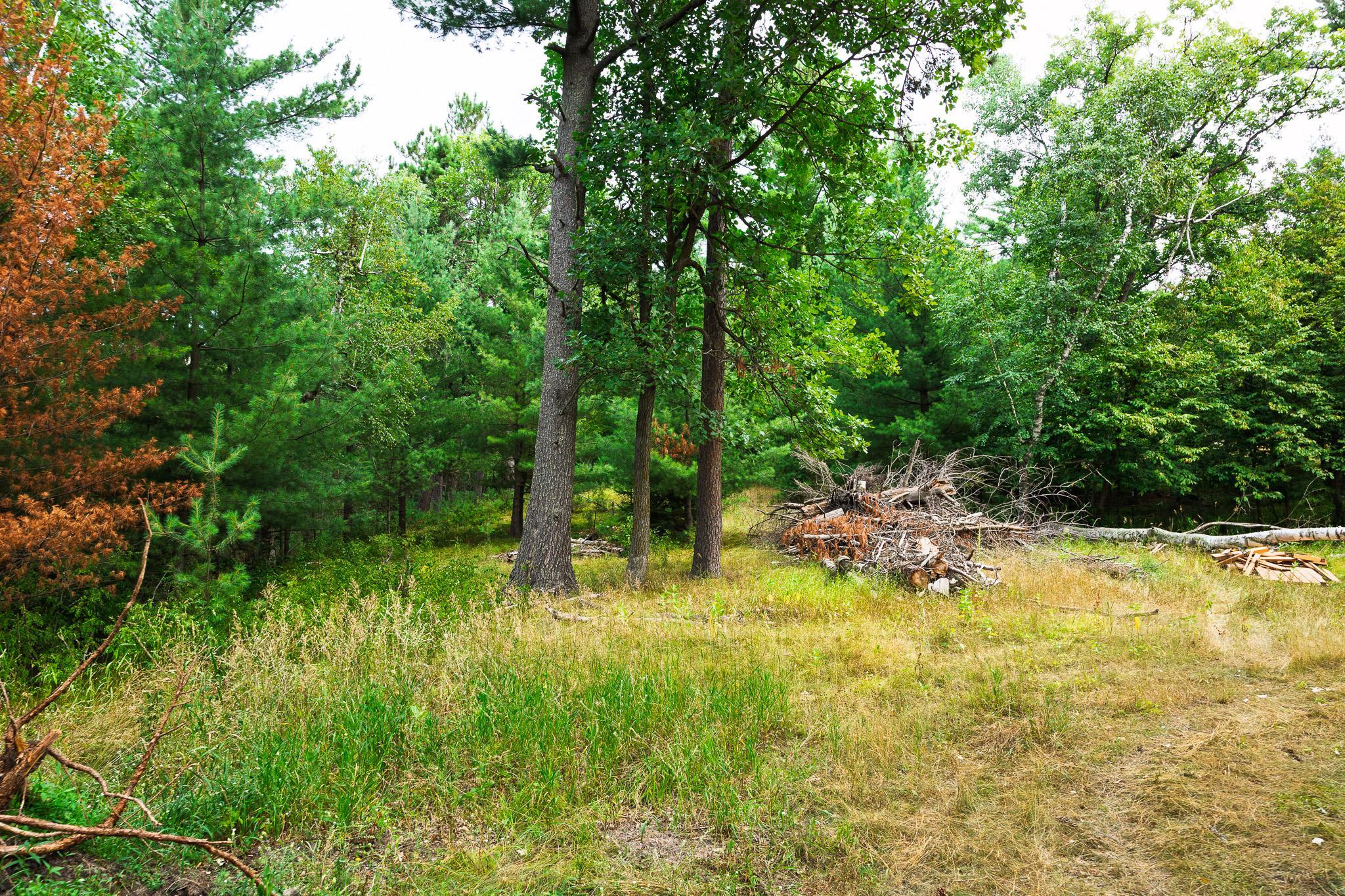 Tbd County Road 23 Property Photo 46
