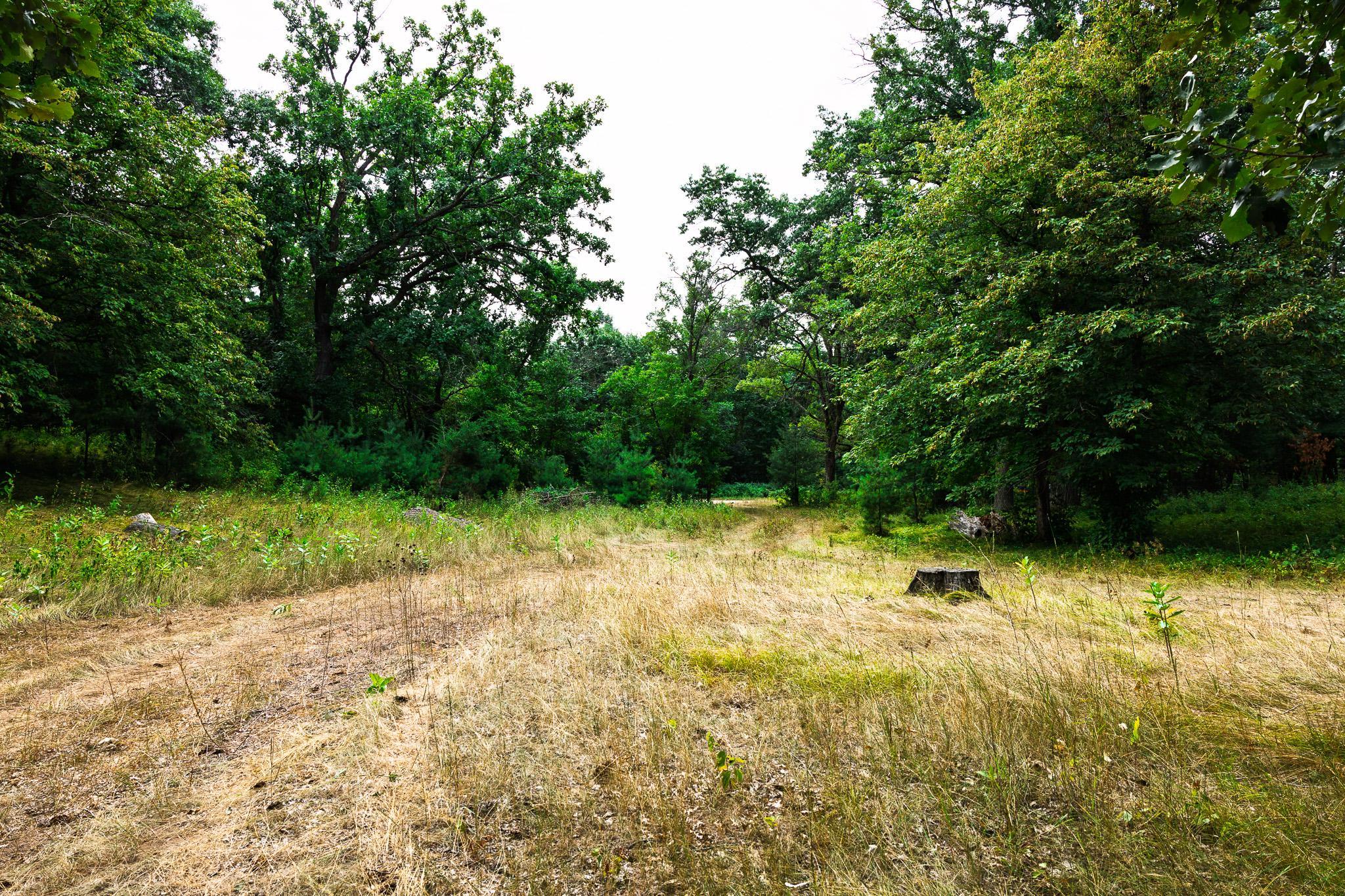 Tbd County Road 23 Property Photo 49