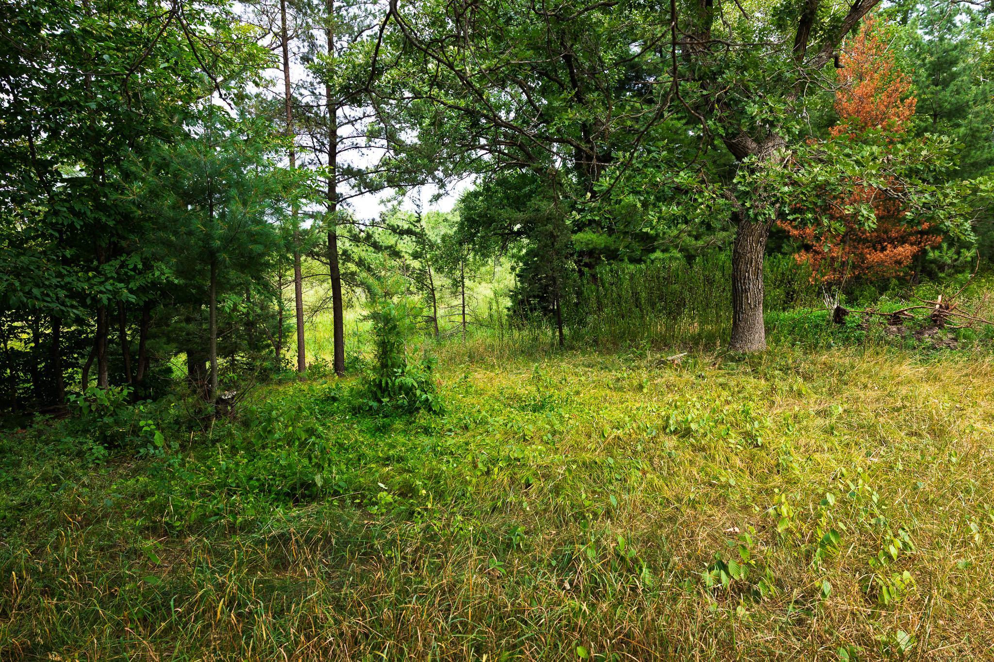 Tbd County Road 23 Property Photo 53