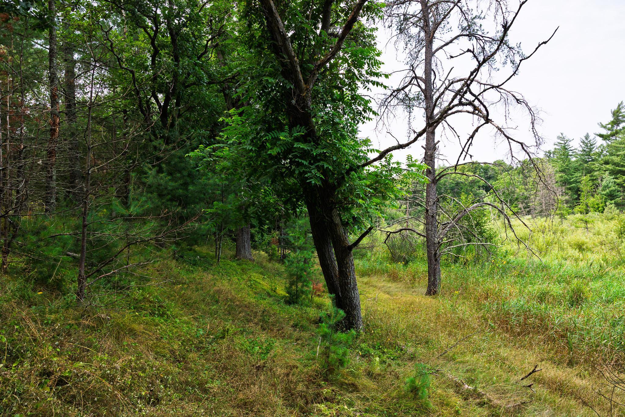 Tbd County Road 23 Property Photo 56