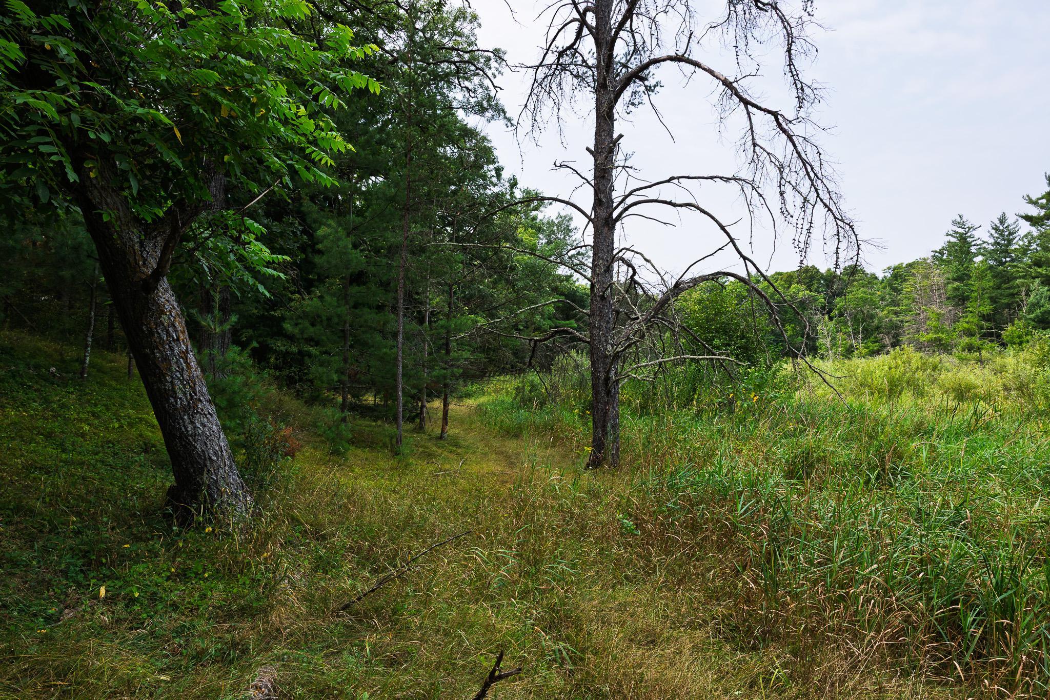 Tbd County Road 23 Property Photo 57