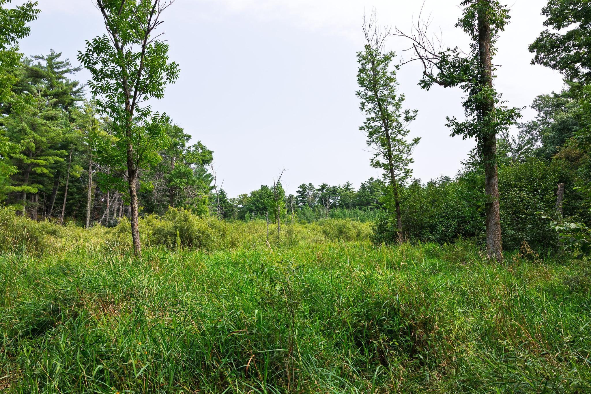 Tbd County Road 23 Property Photo 58
