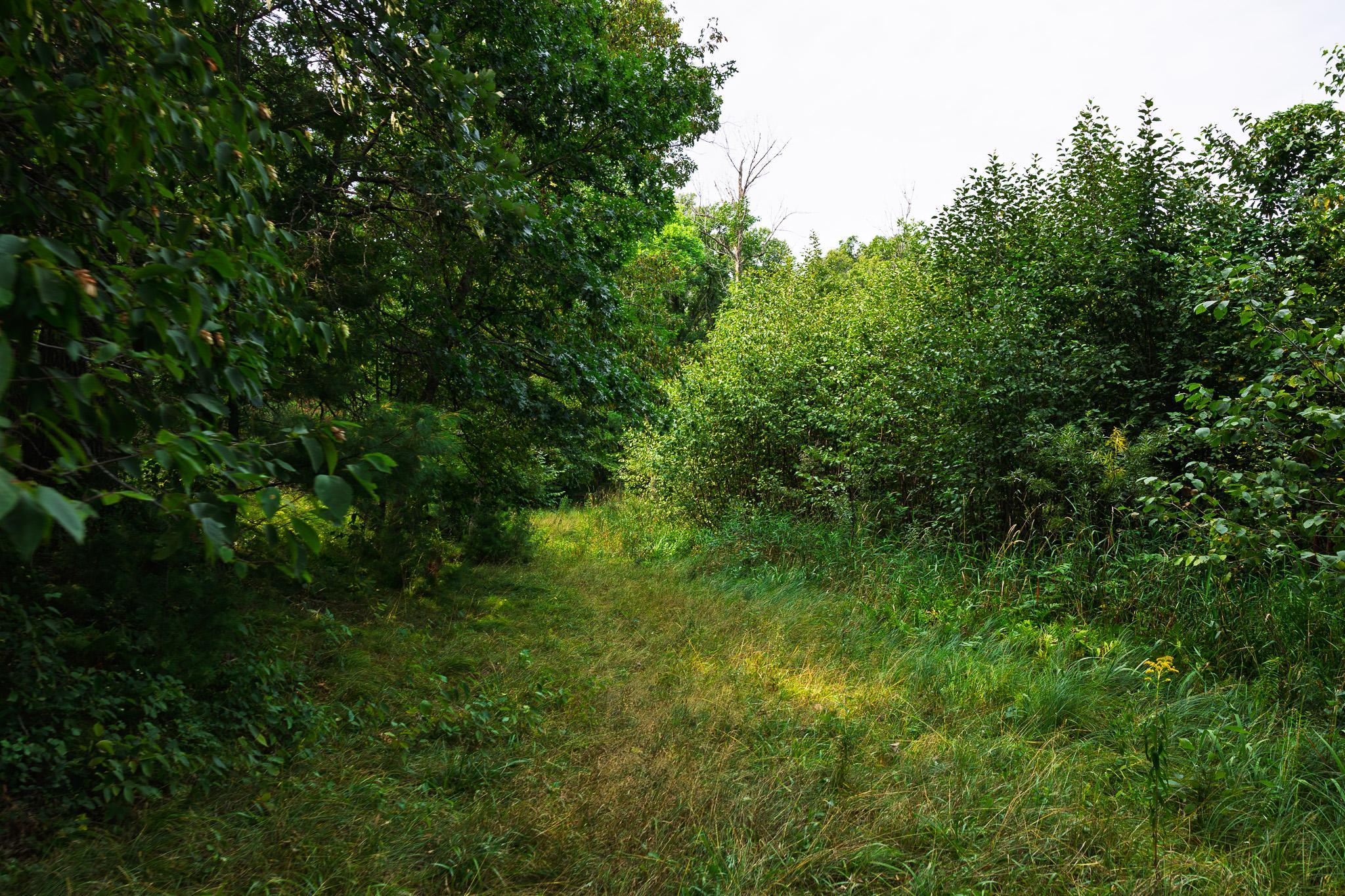 Tbd County Road 23 Property Photo 59