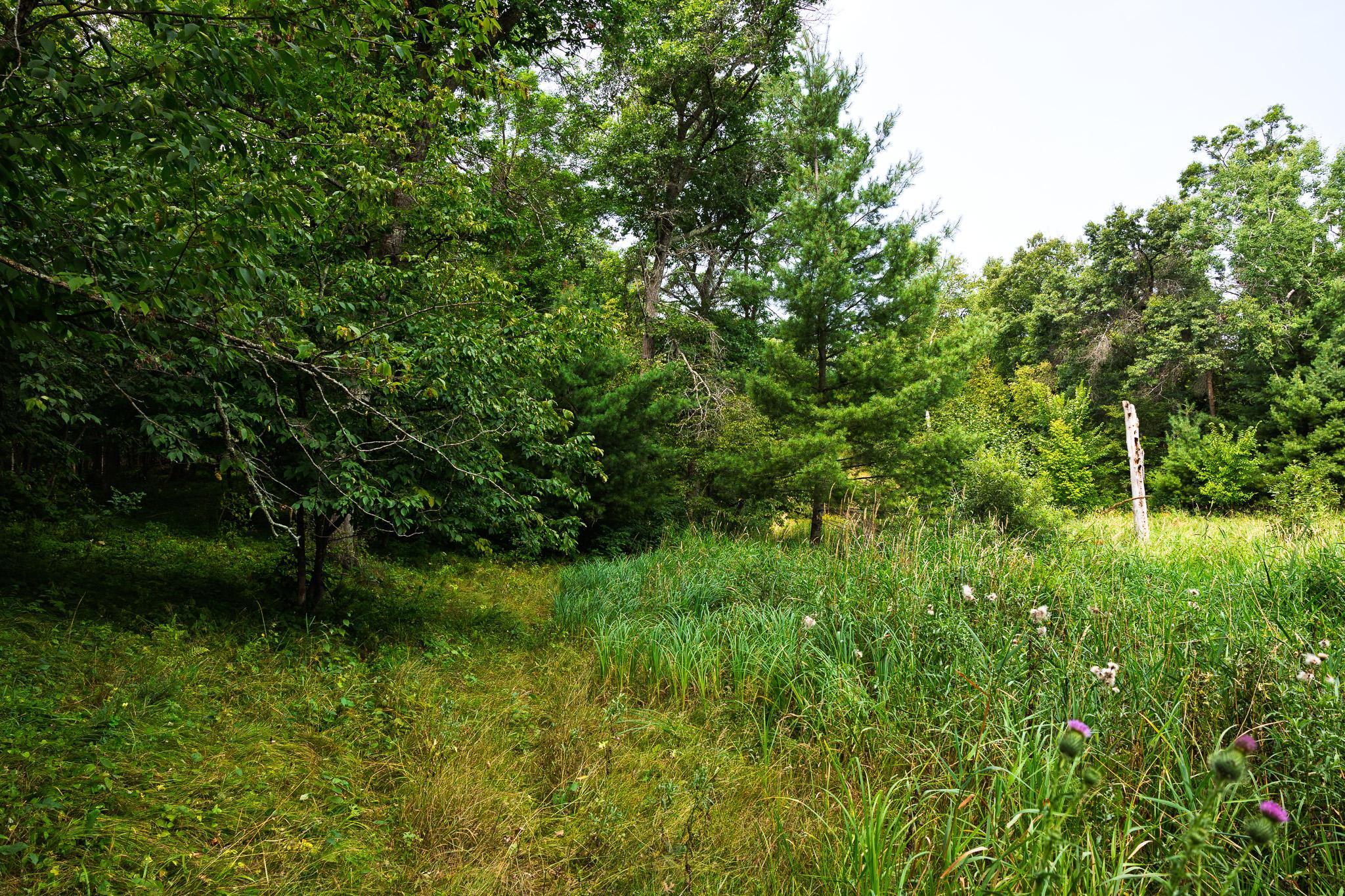 Tbd County Road 23 Property Photo 60