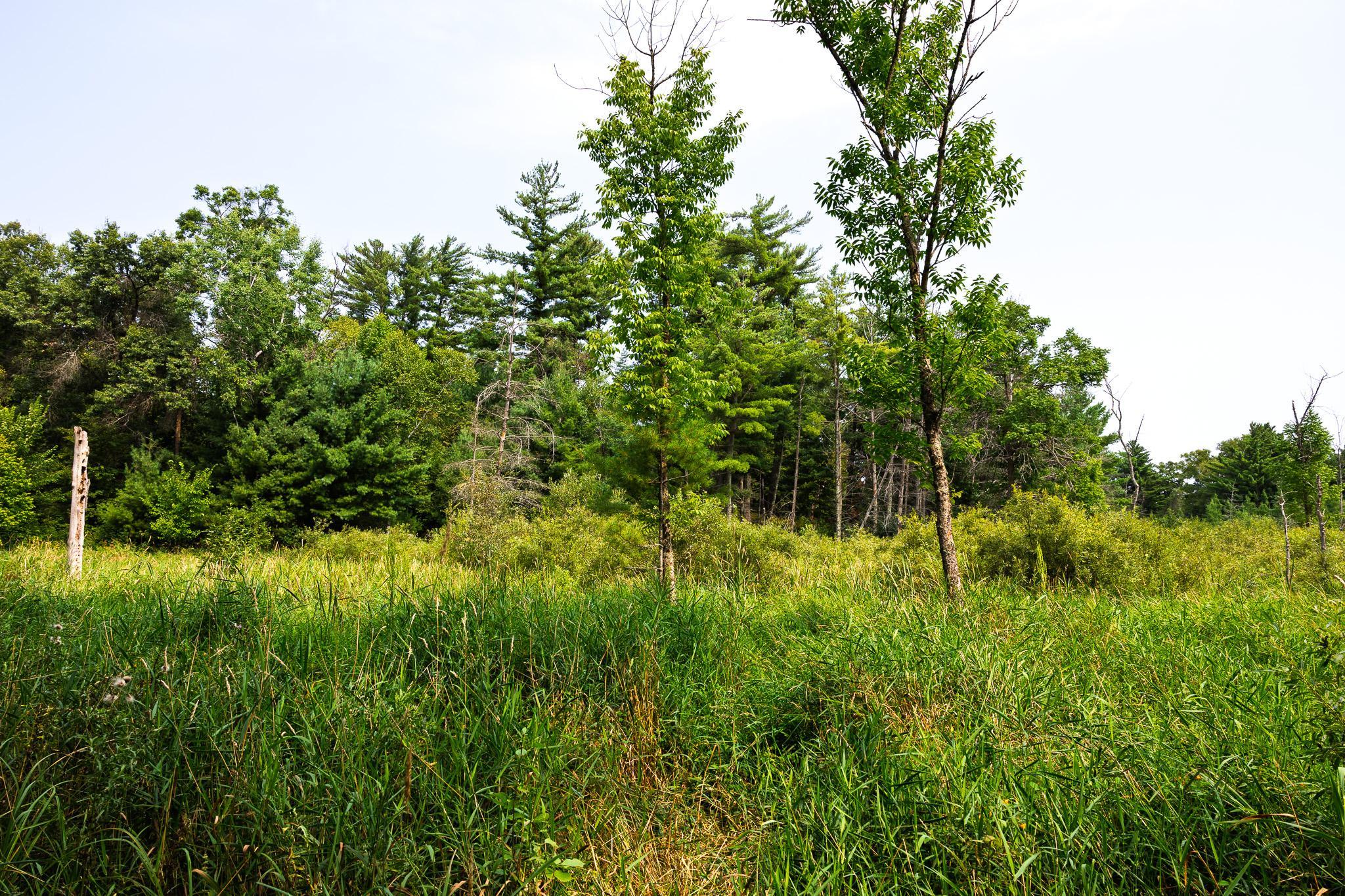 Tbd County Road 23 Property Photo 61