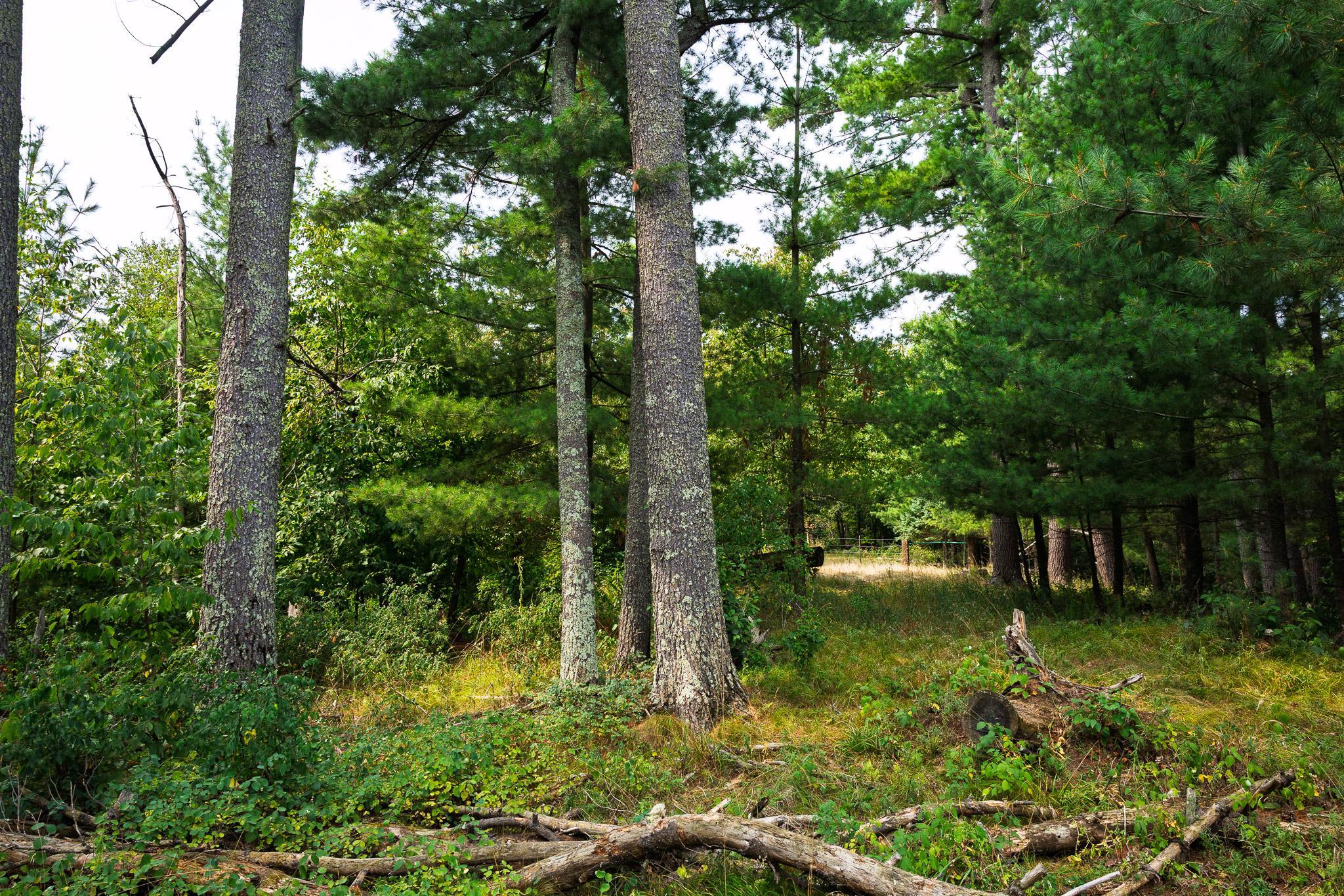 Tbd County Road 23 Property Photo 62