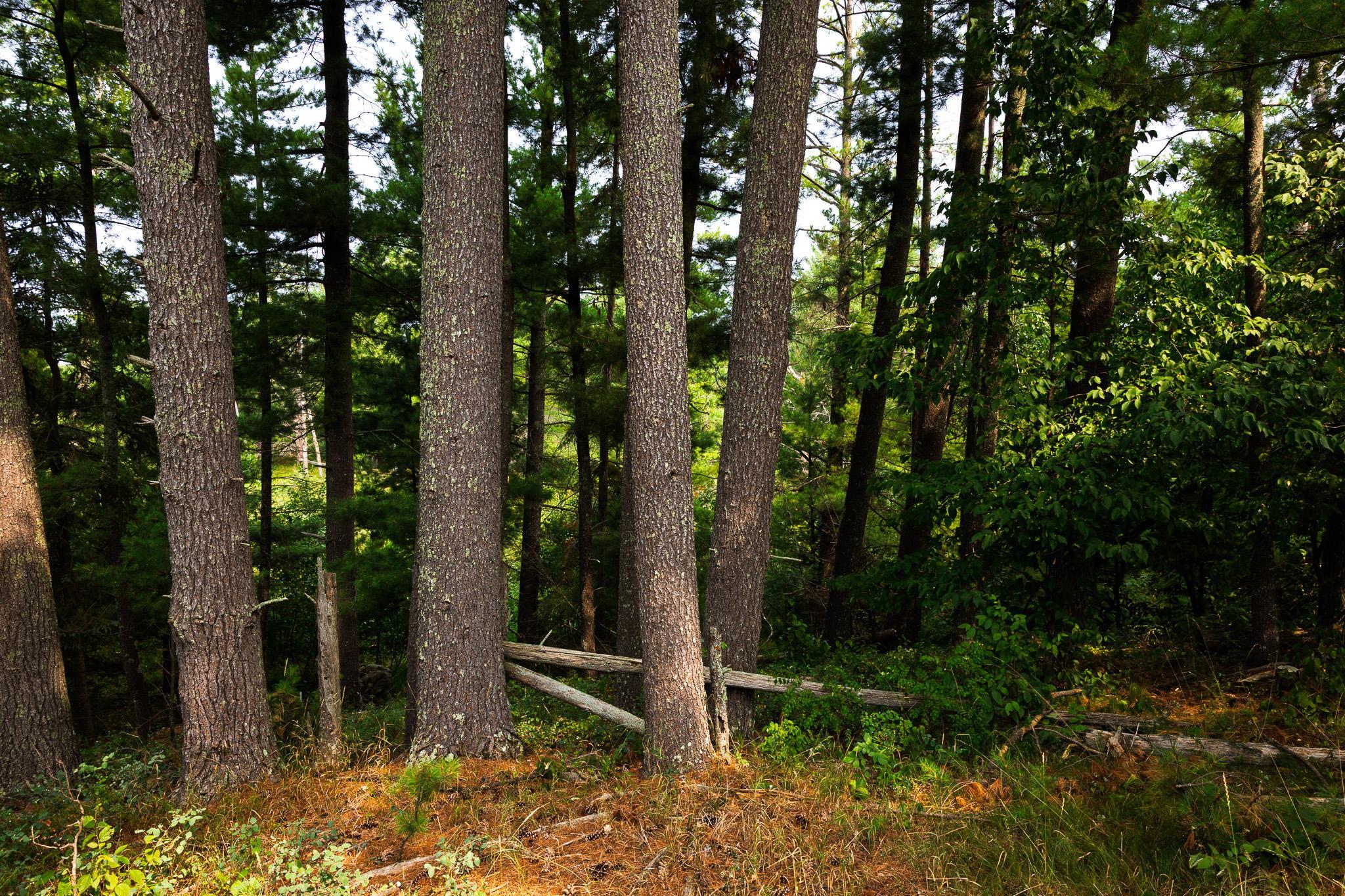 Tbd County Road 23 Property Photo 64