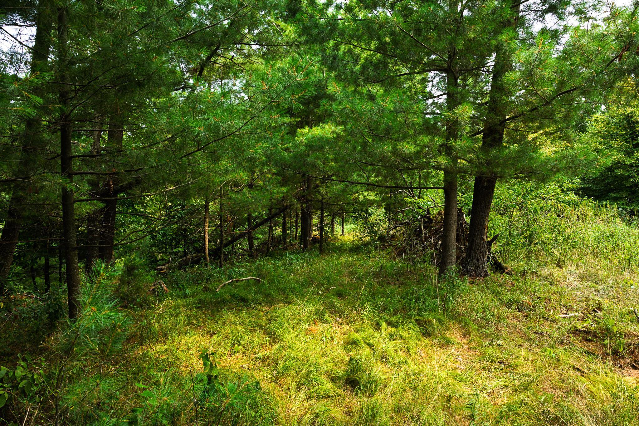 Tbd County Road 23 Property Photo 65