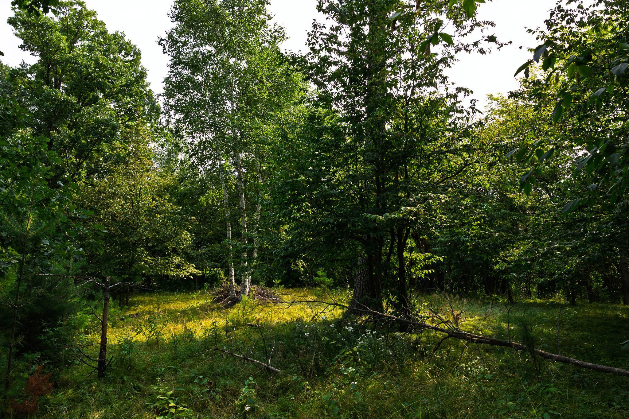 Tbd County Road 23 Property Photo 66