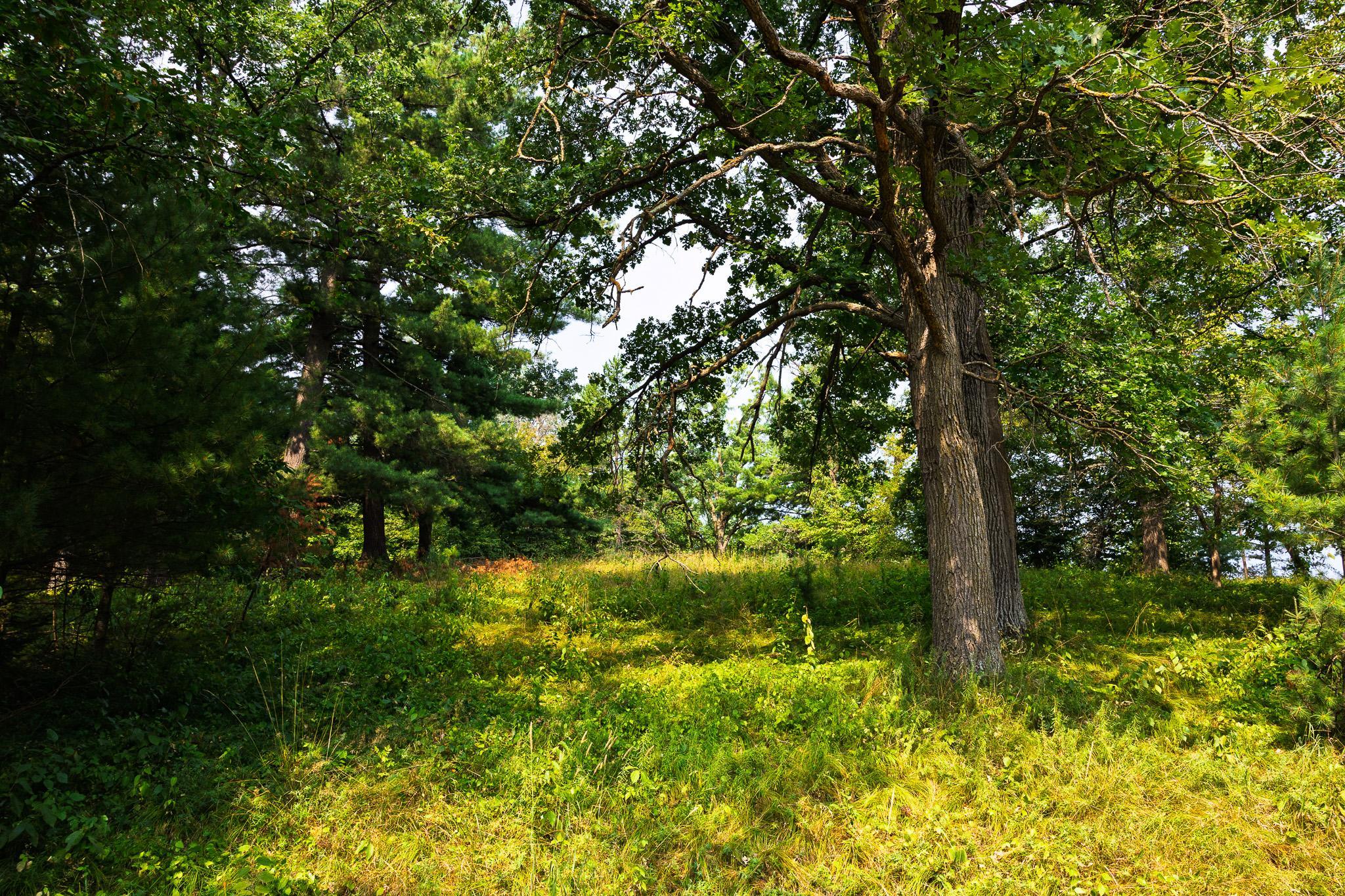 Tbd County Road 23 Property Photo 67