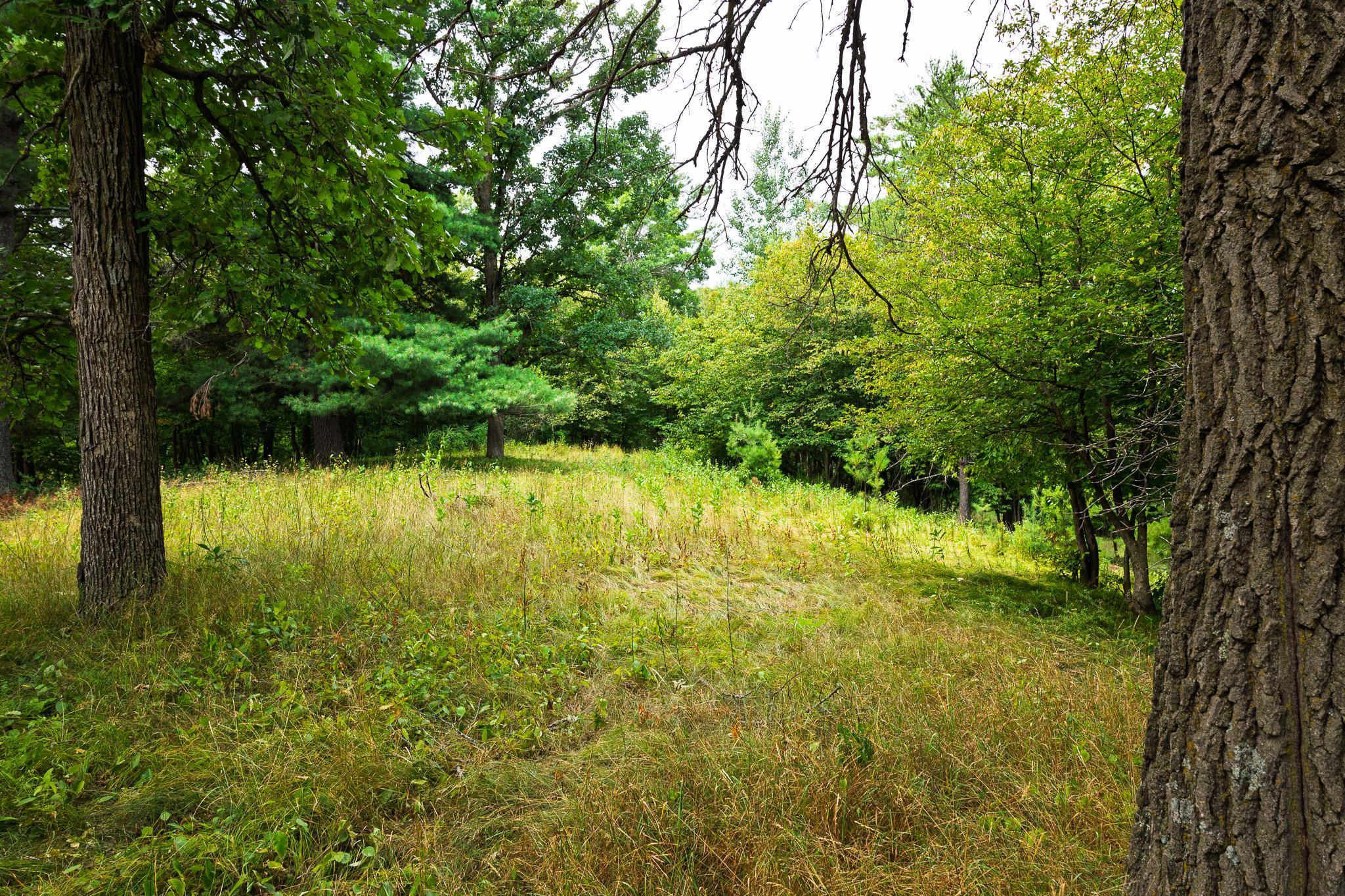 Tbd County Road 23 Property Photo 68