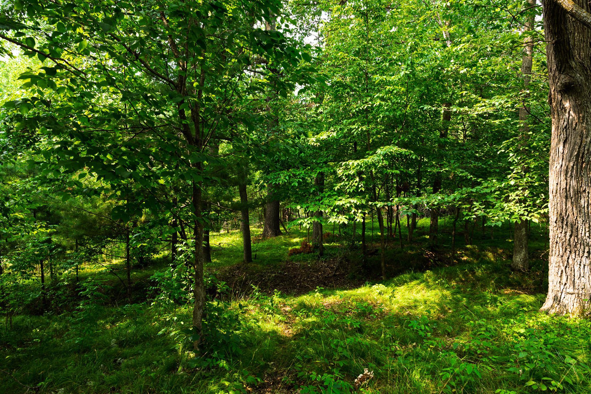 Tbd County Road 23 Property Photo 69