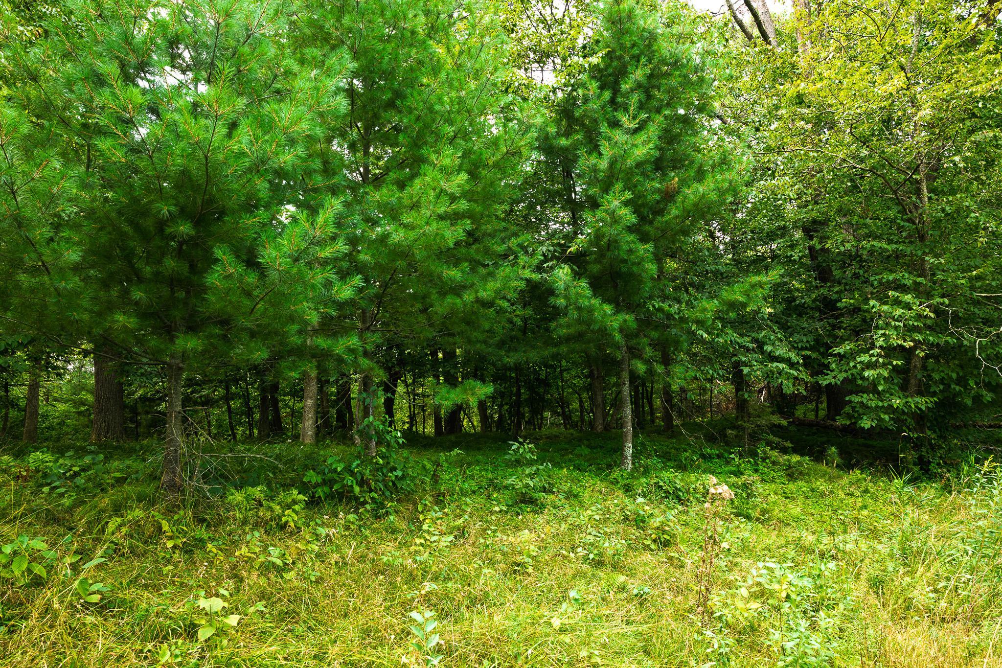 Tbd County Road 23 Property Photo 72