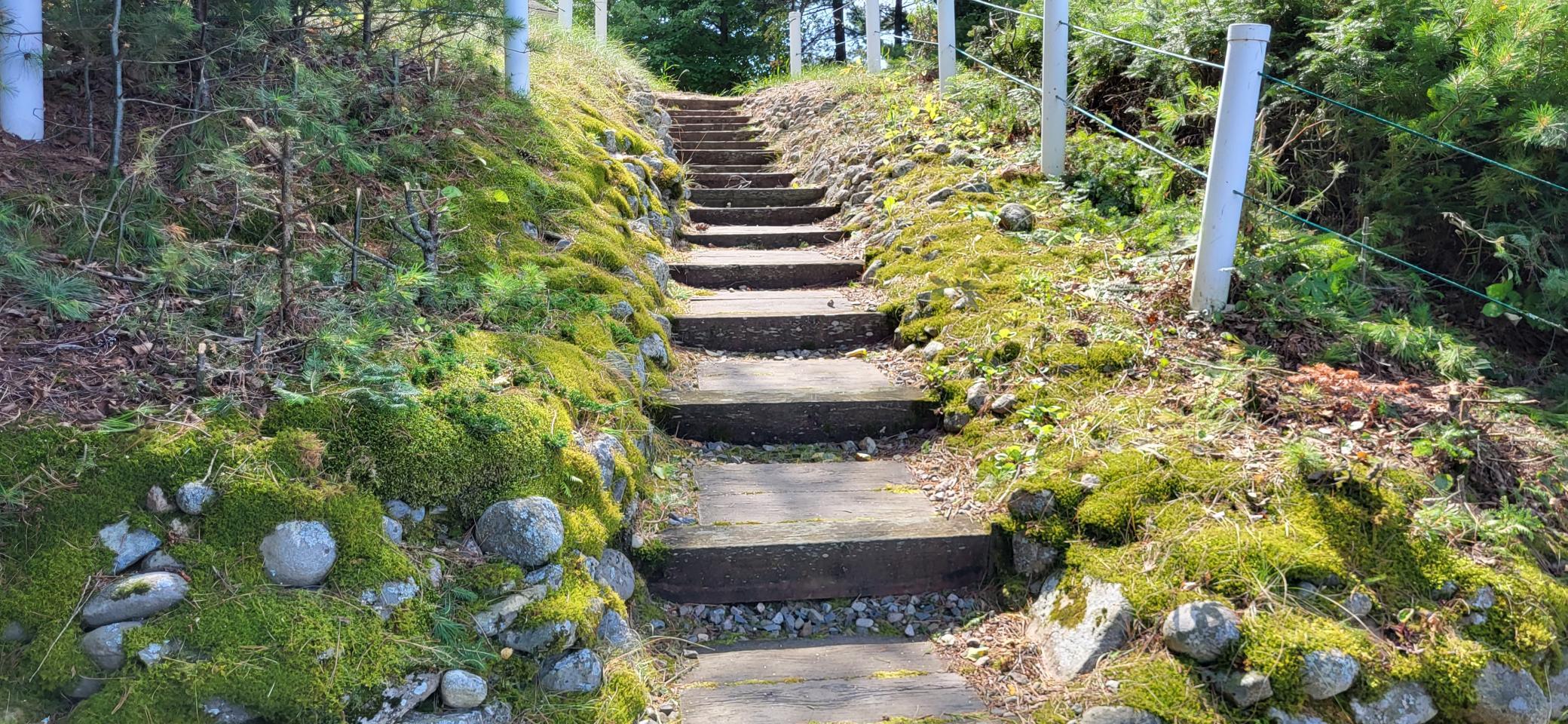 4456 Birch Forest Road Property Photo 10