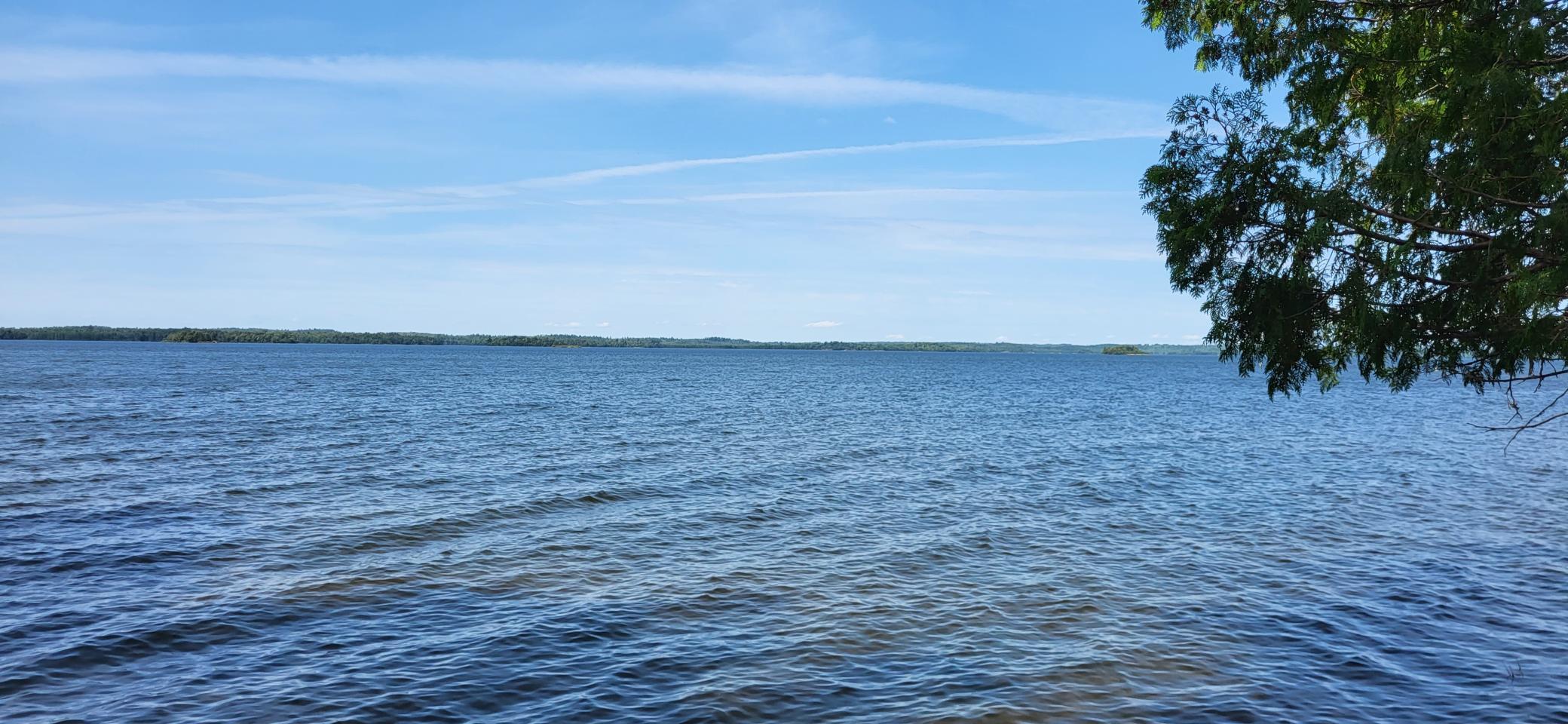 4456 Birch Forest Road Property Photo 14