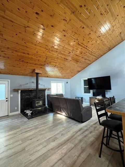 26749 Upper Necktie River Drive Property Photo 12