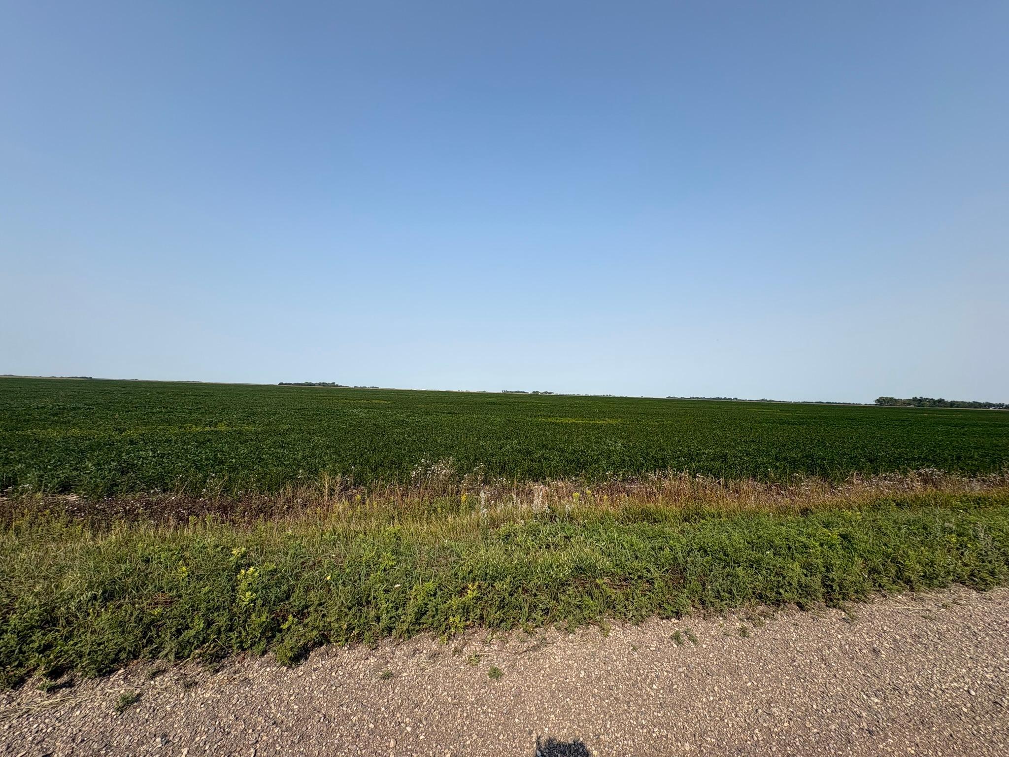 1 County Rd. 3 Property Photo 3