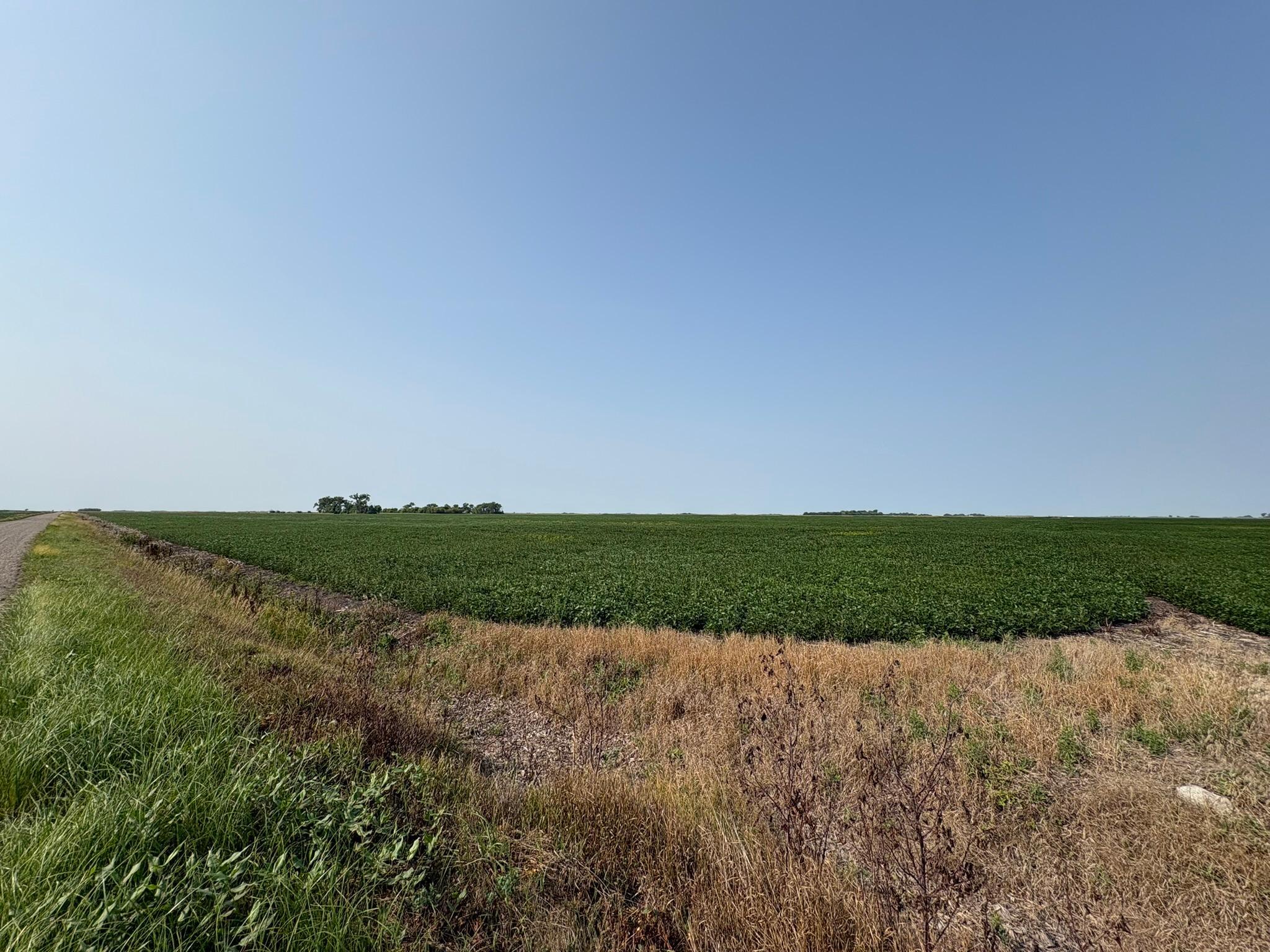 1 County Rd. 3 Property Photo 4