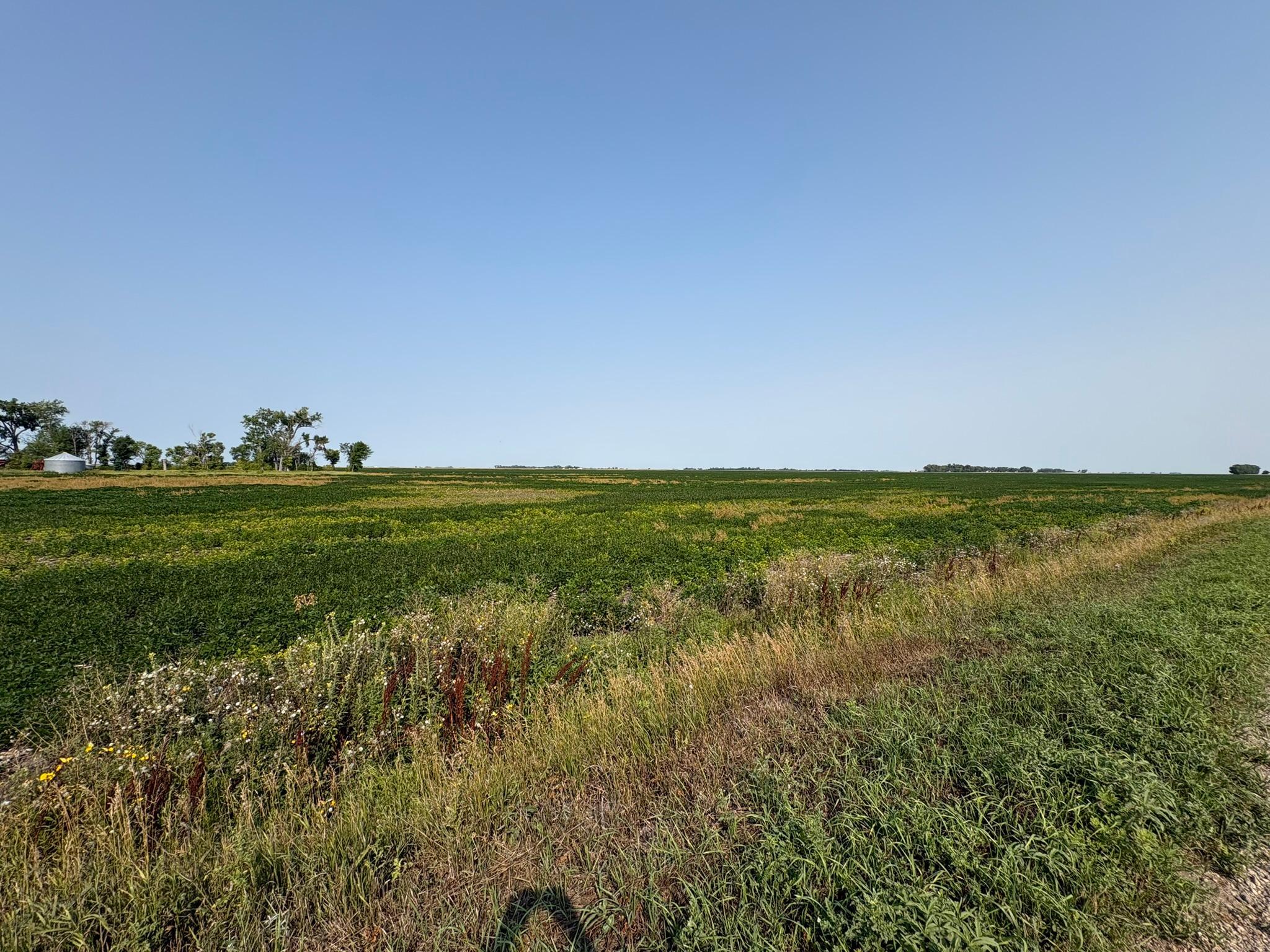1 County Rd. 3 Property Photo 5