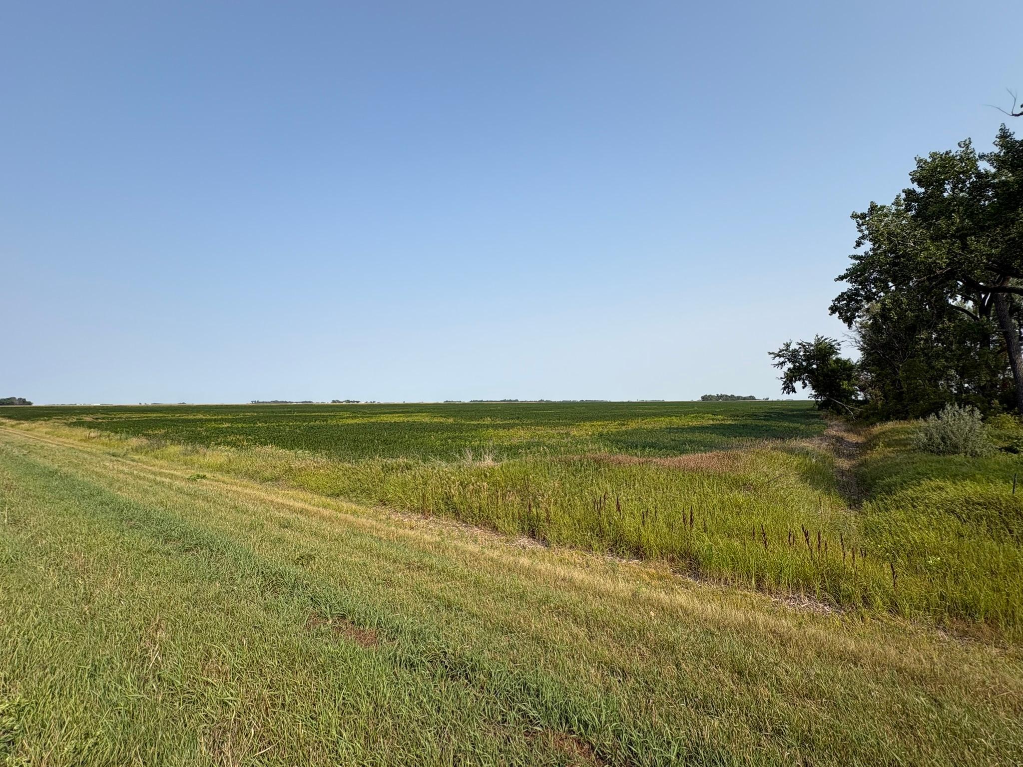 1 County Rd. 3 Property Photo 6
