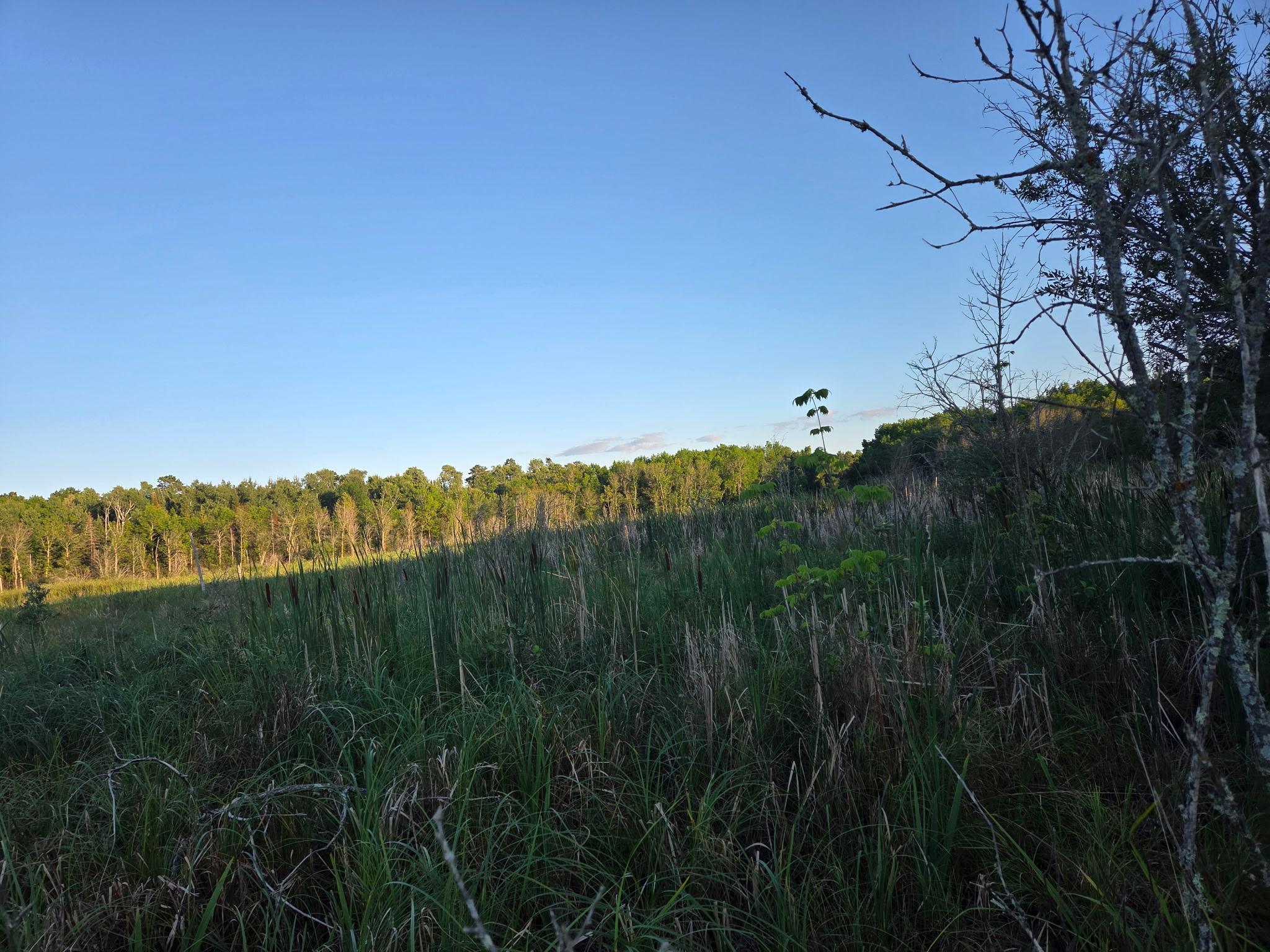 Tbd (lot 2) 190th Street Property Photo 2