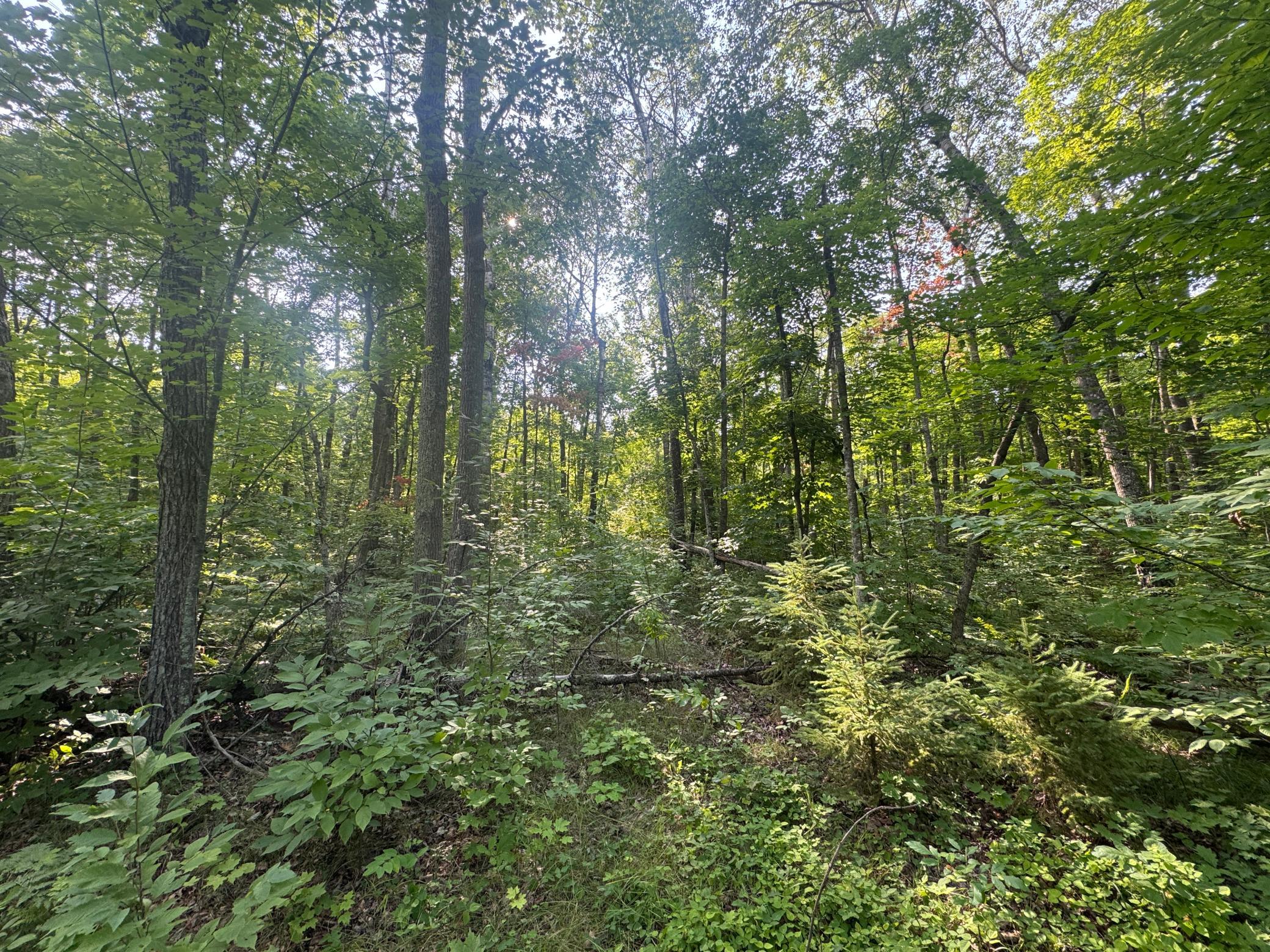 Tbd Howard Lake Road Nw Property Photo 1
