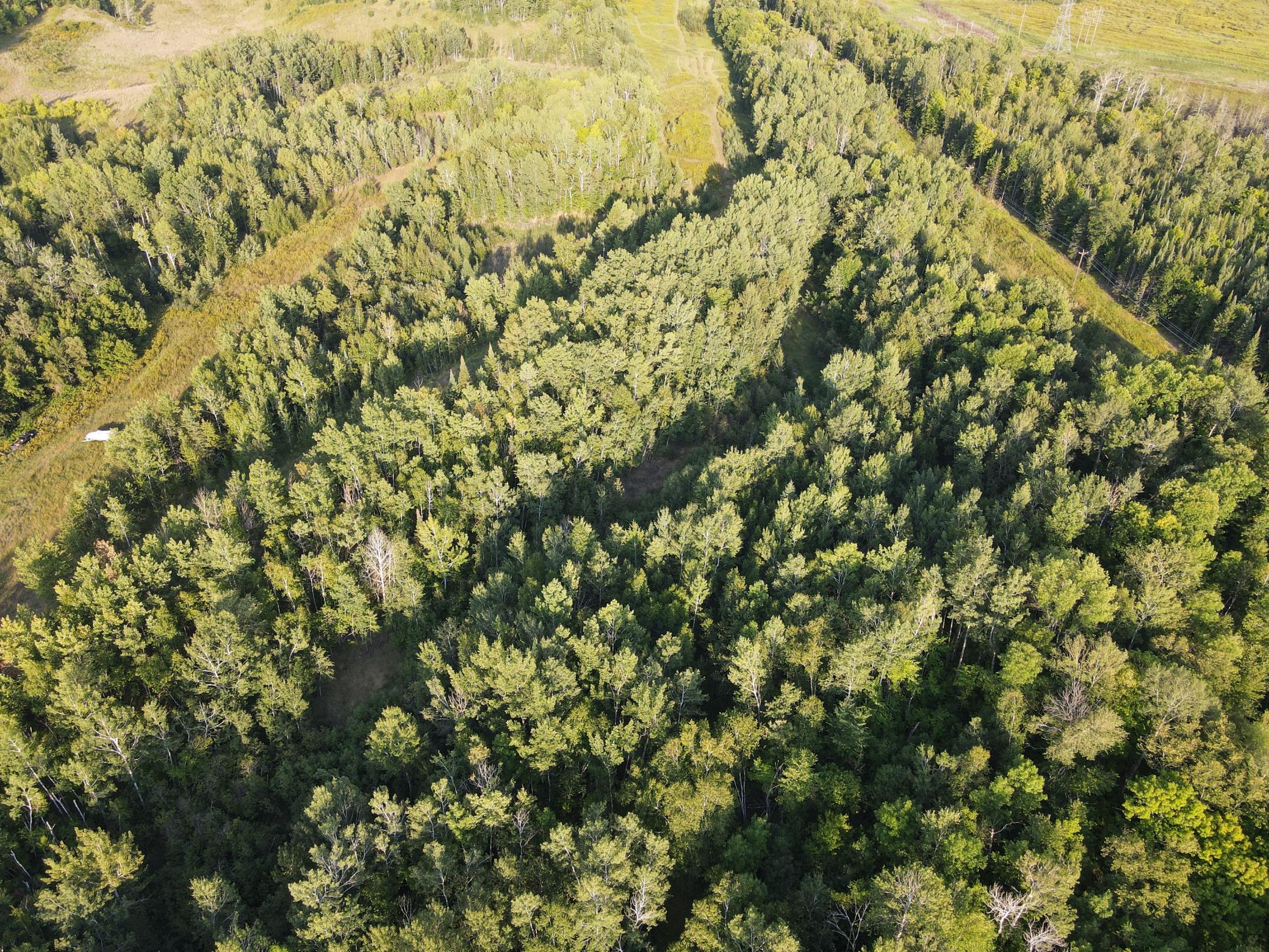 Tbd Pincherry Rd Property Photo 10