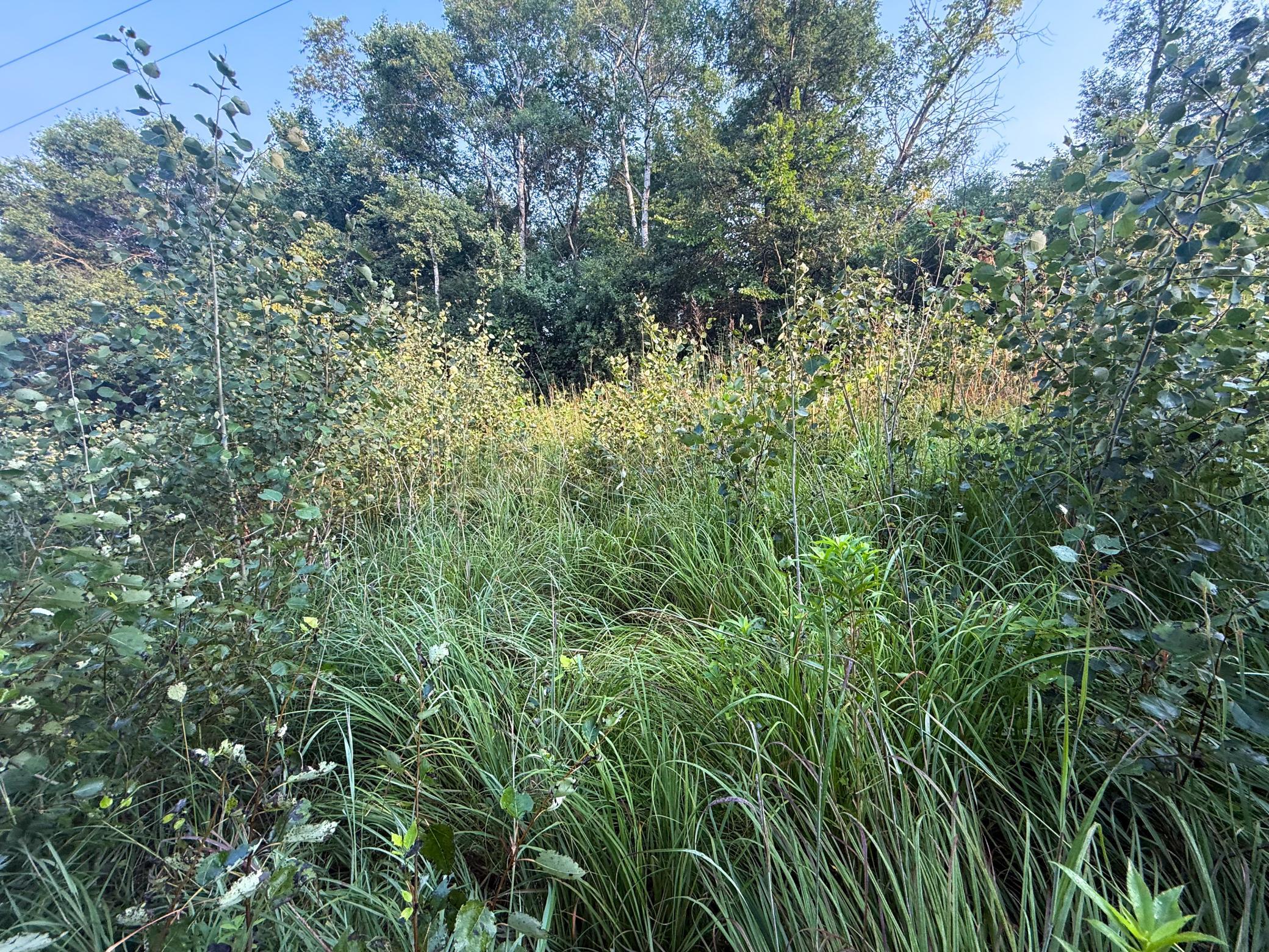 Tbd 299th Ave. Property Photo 34