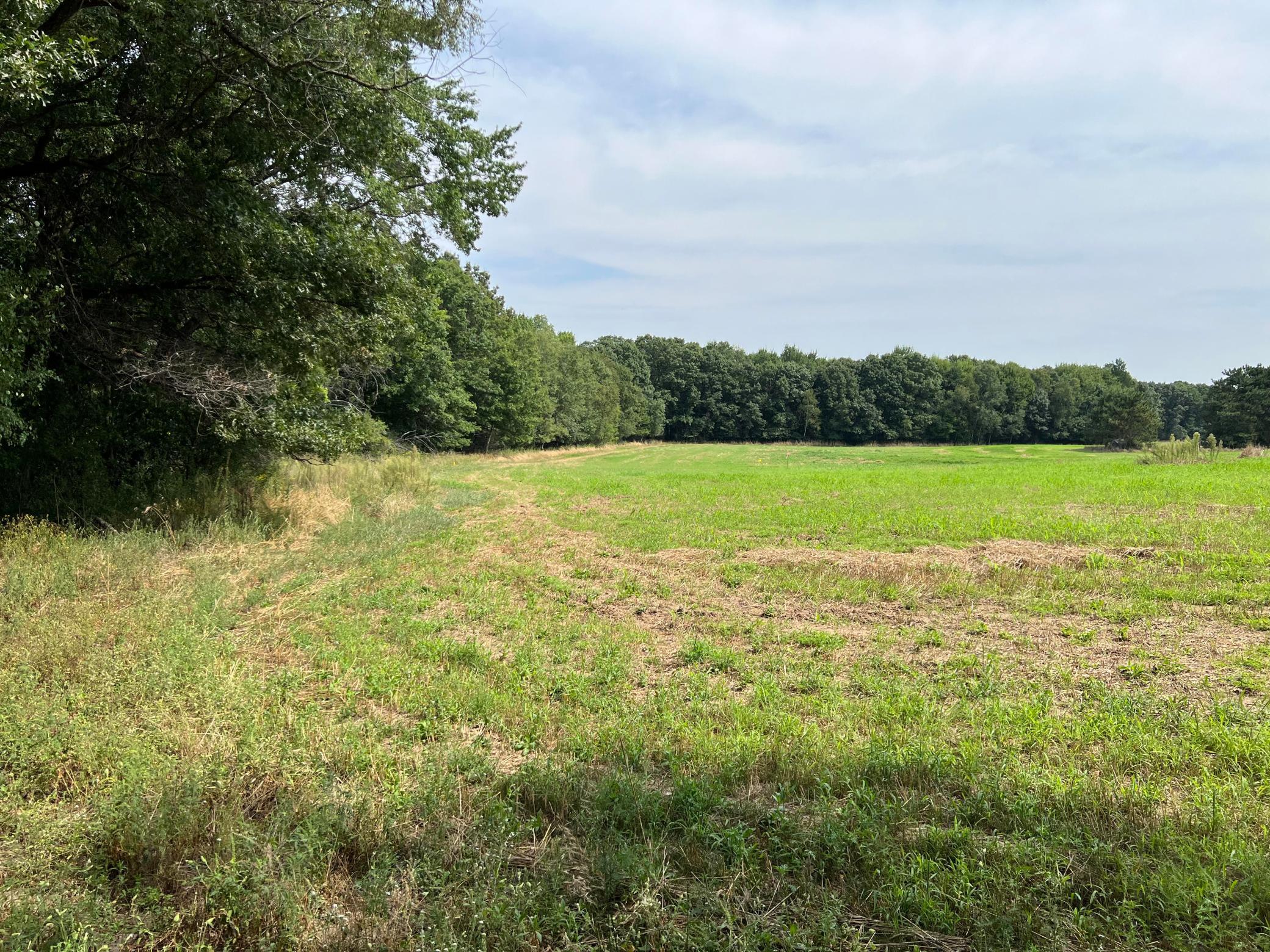 Tbd Elmcrest Avenue Property Photo 3