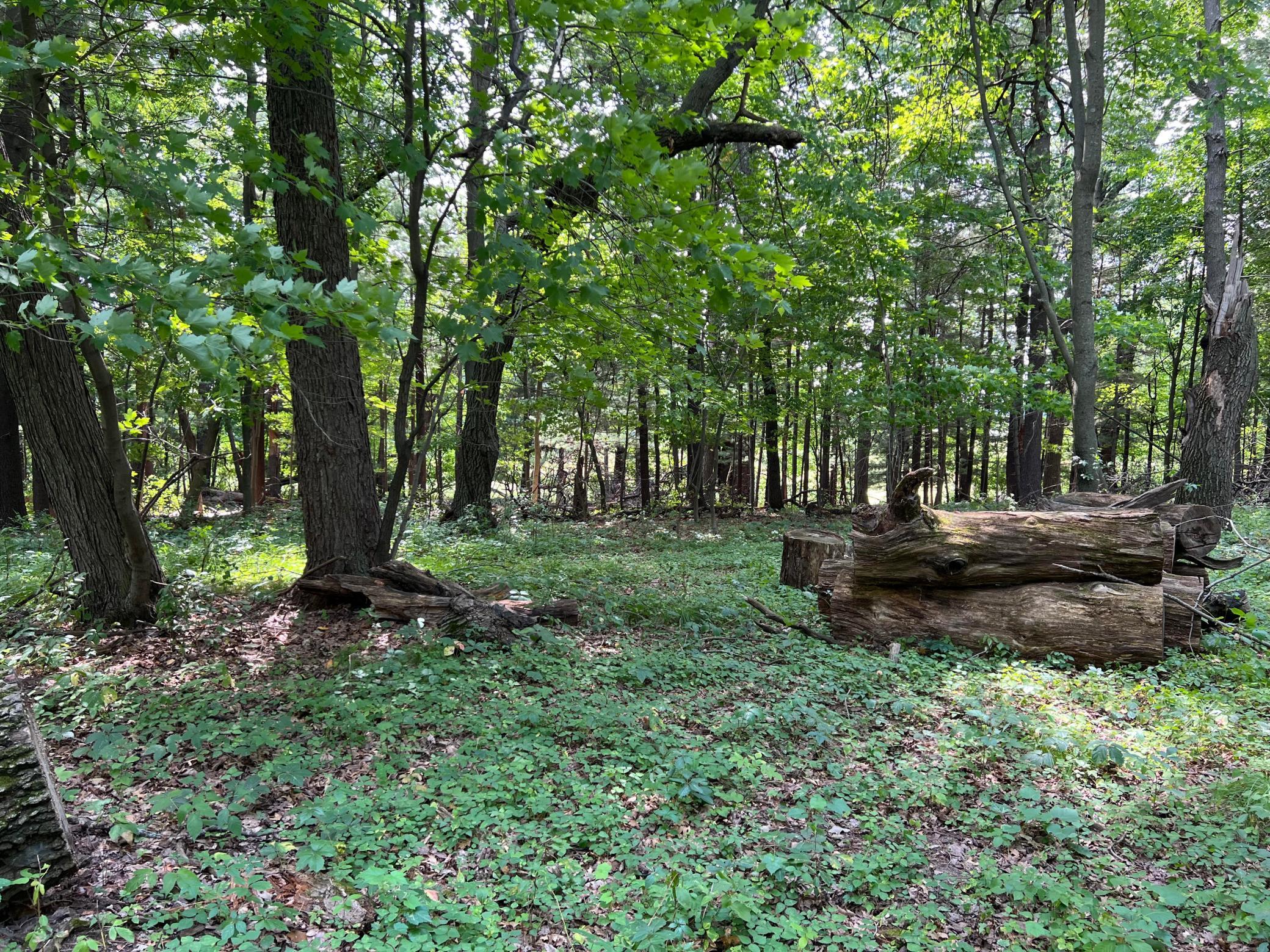 Tbd Elmcrest Avenue Property Photo 4