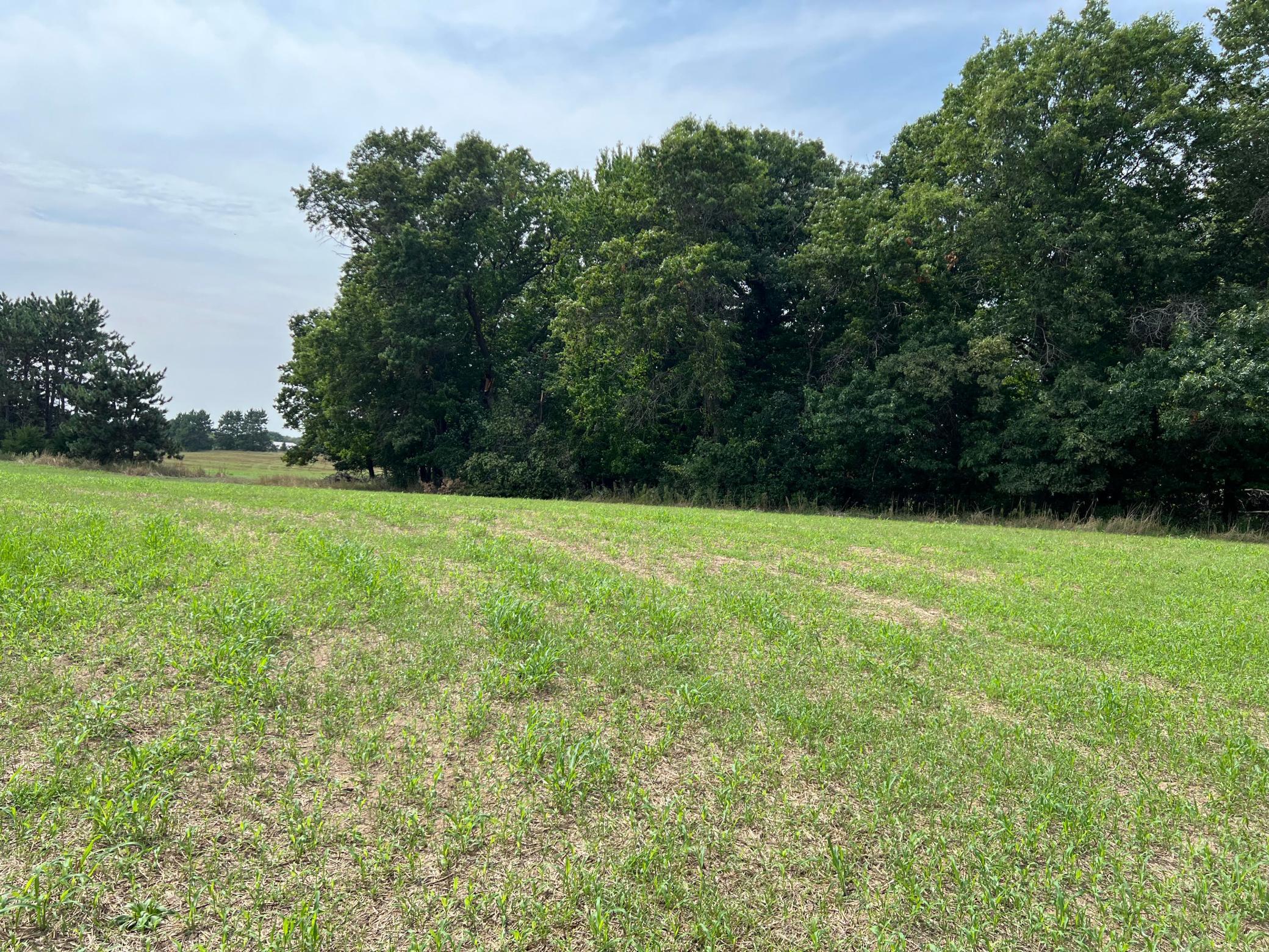 Tbd Elmcrest Avenue Property Photo 7