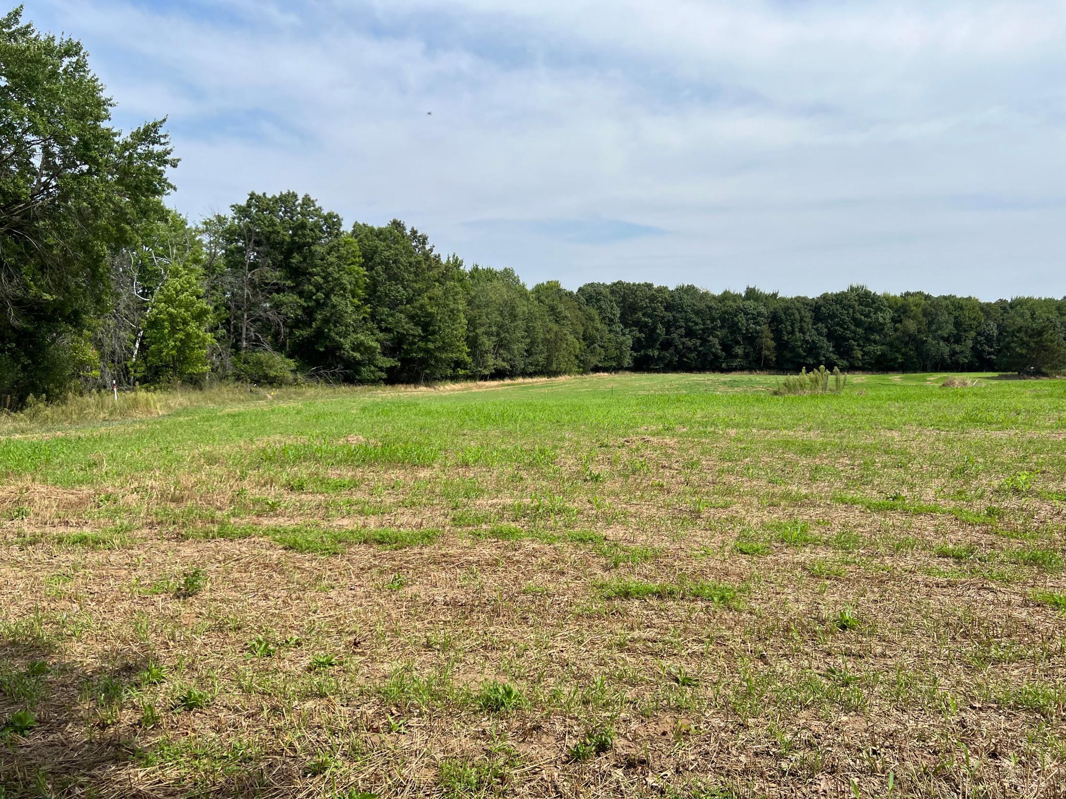 Tbd Elmcrest Avenue Property Photo 8