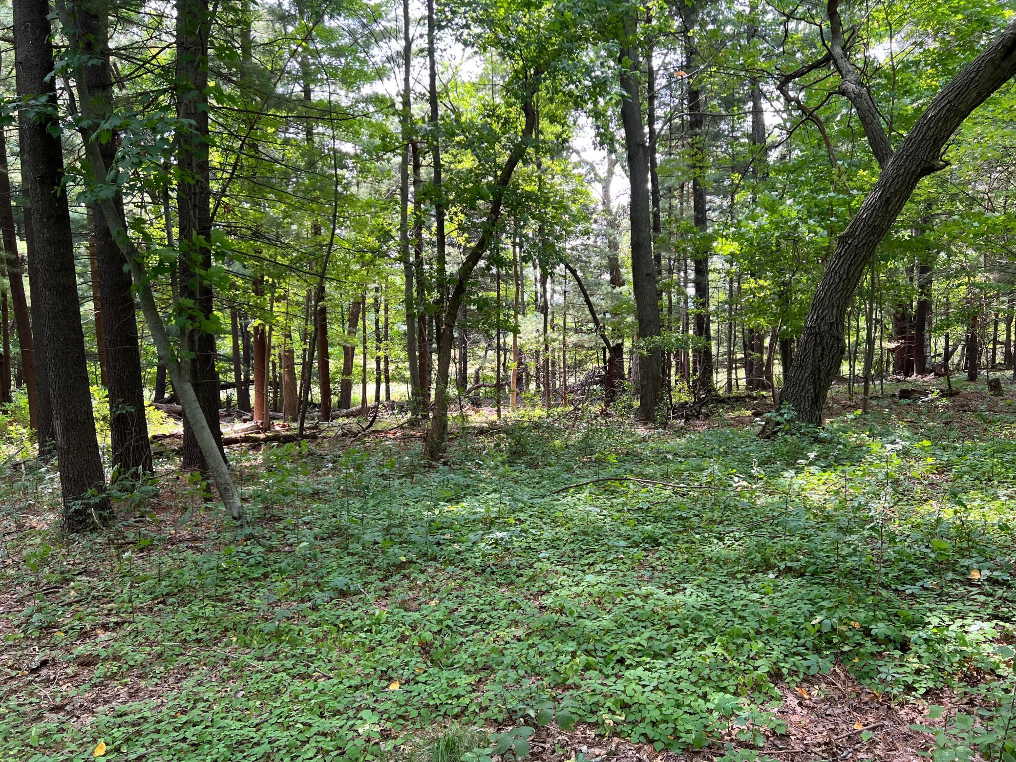 Tbd Elmcrest Avenue Property Photo 10
