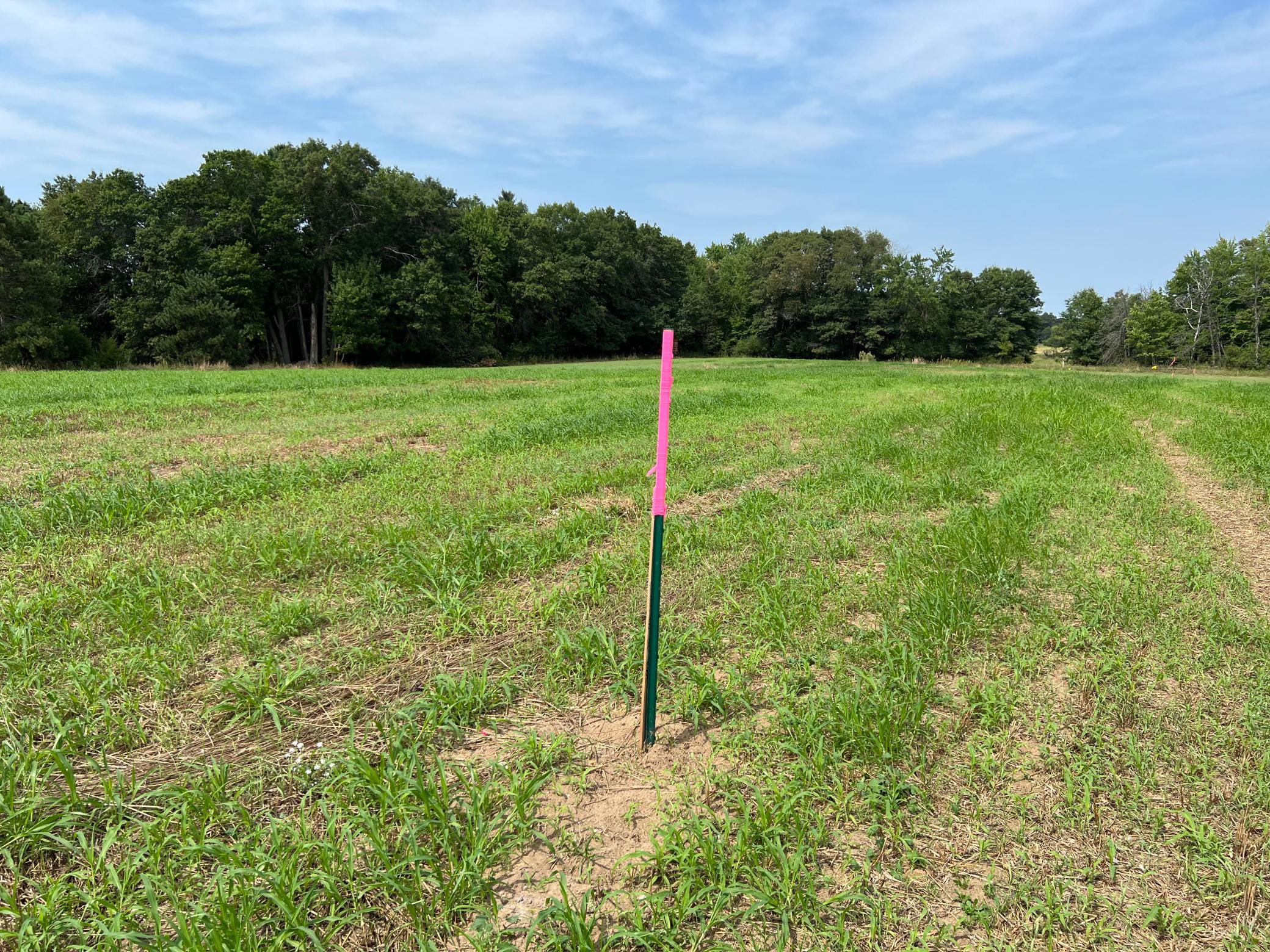 Tbd Elmcrest Avenue Property Photo 13