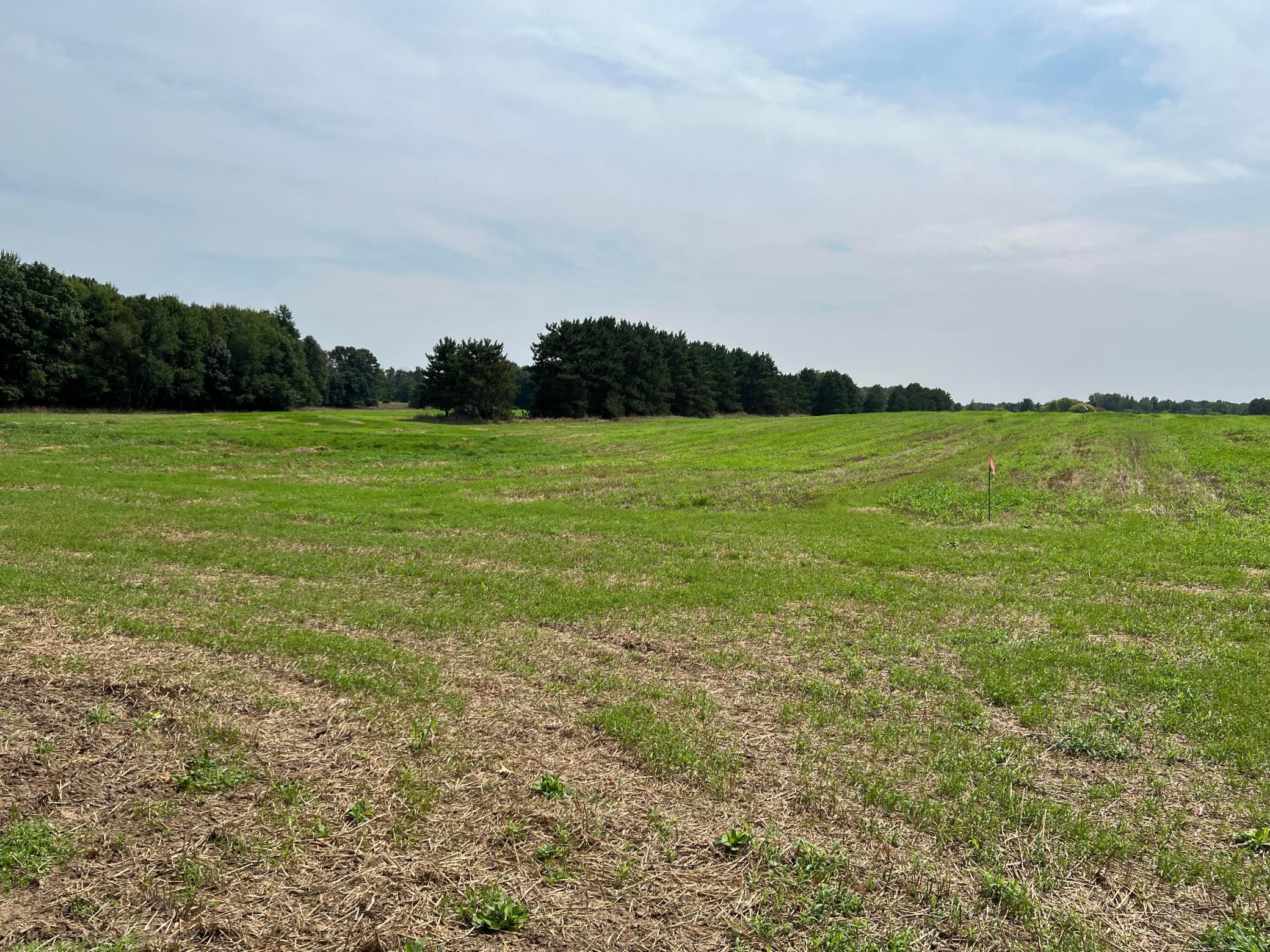 Tbd Elmcrest Avenue Property Photo 17