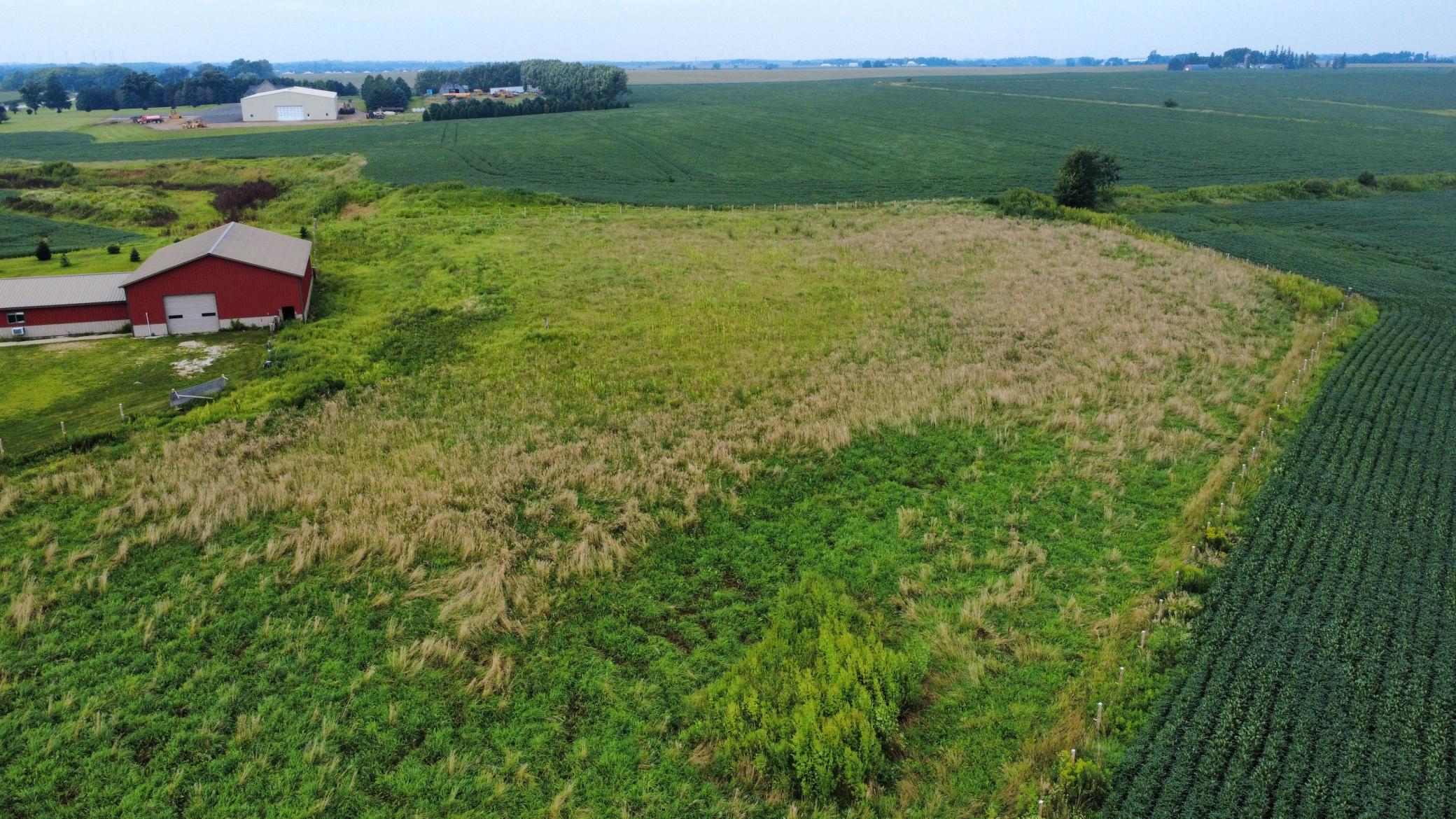 10599 State Highway 56 Property Photo 49